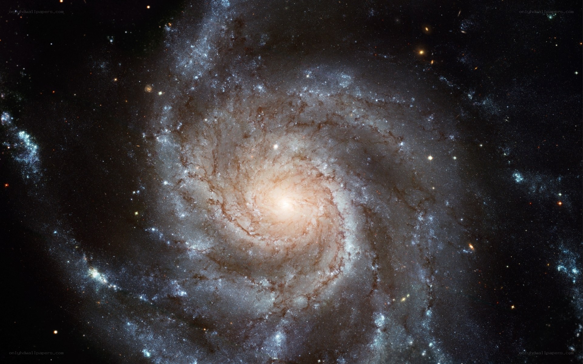 Spiral galaxy in deep space