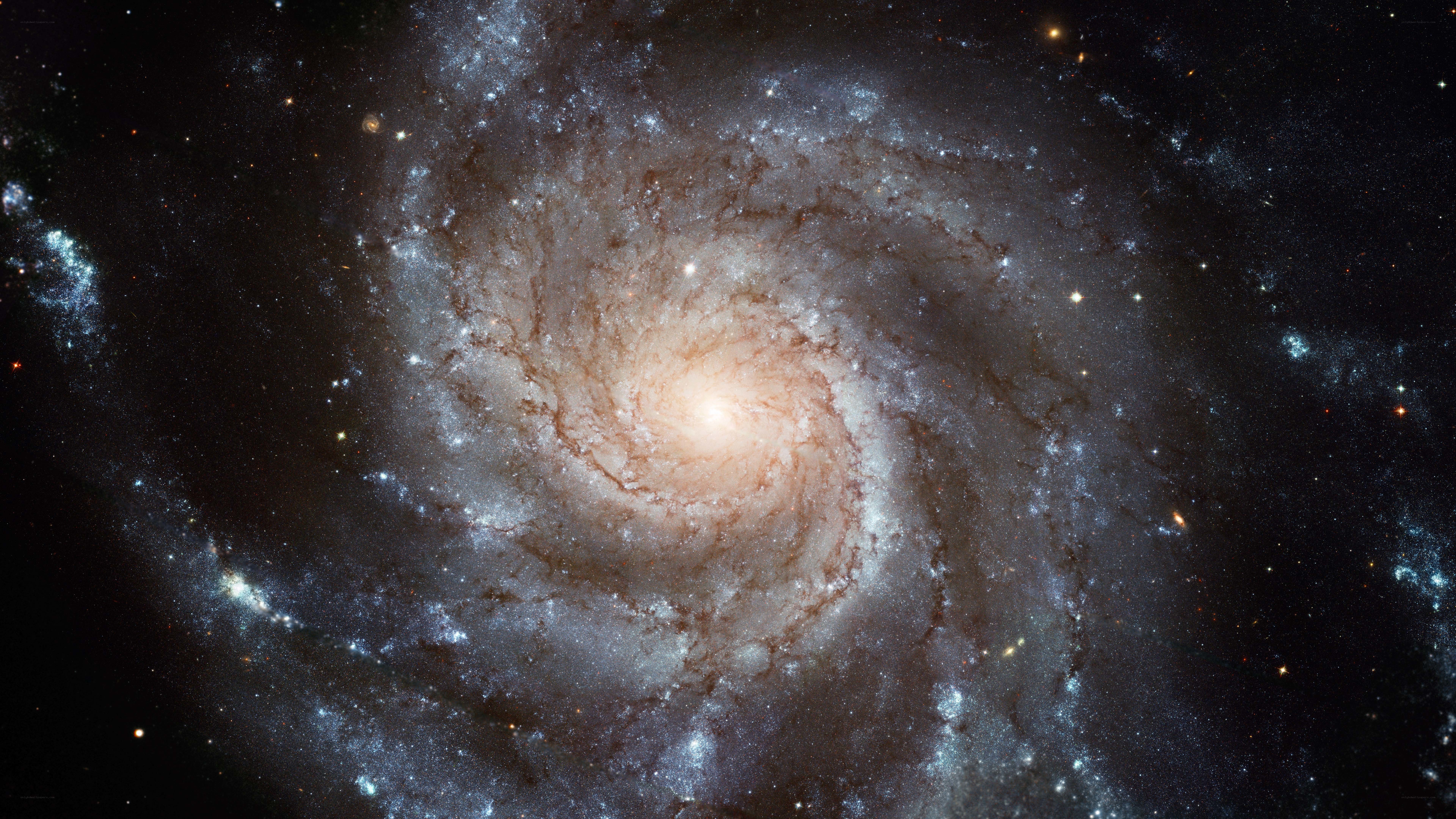Spiral galaxy in deep space