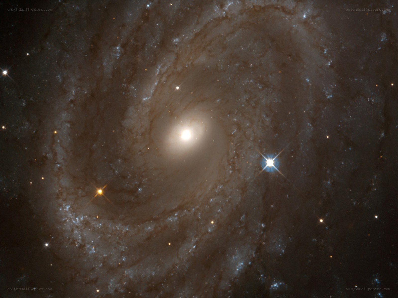 Spiral galaxy in deep space