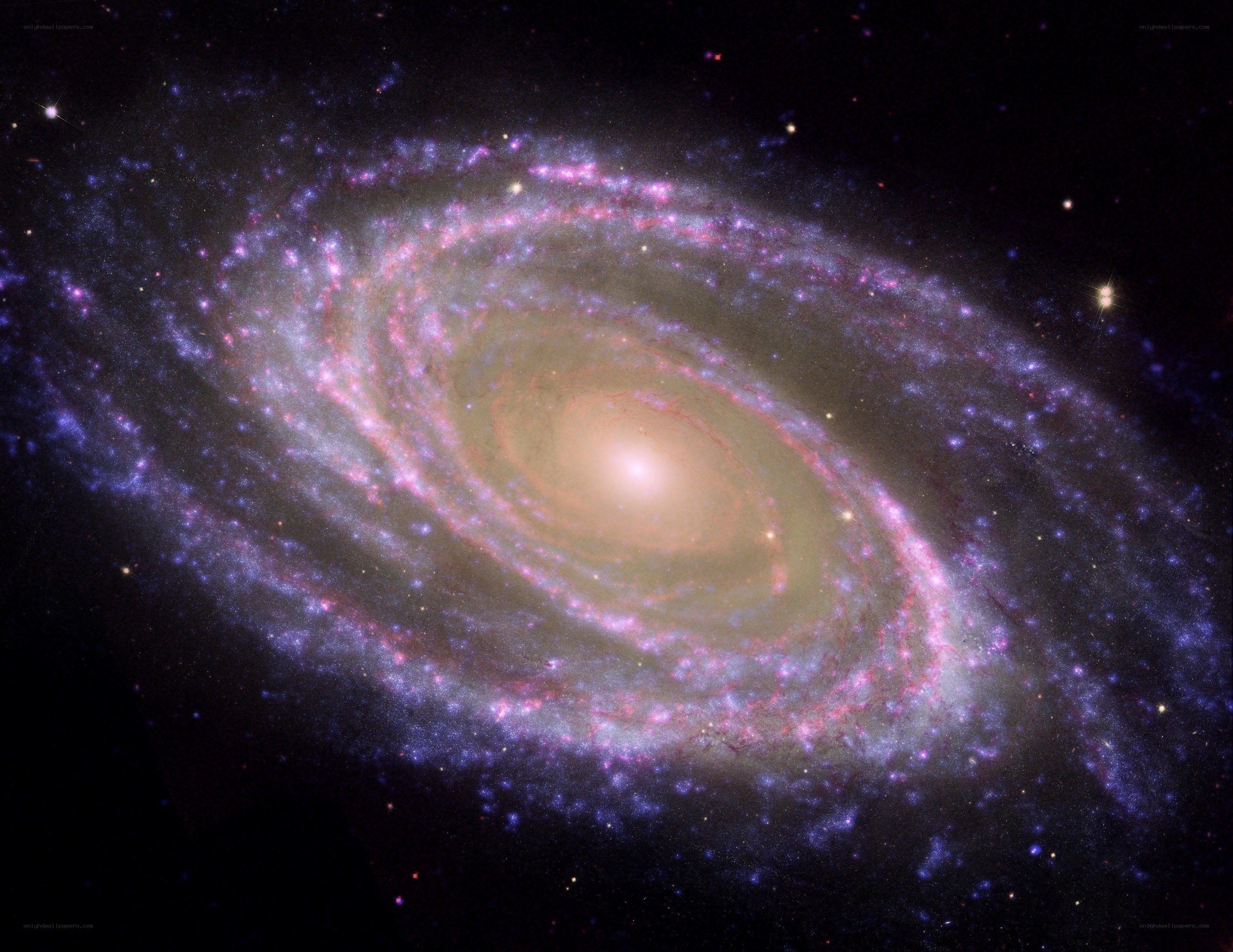 Spiral galaxy in deep space