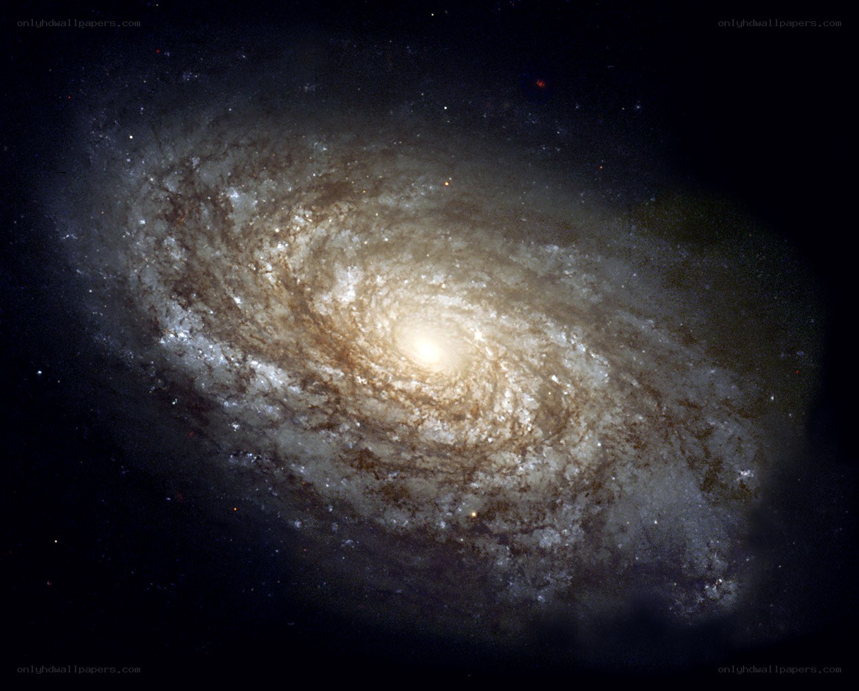 Spiral galaxy in deep space