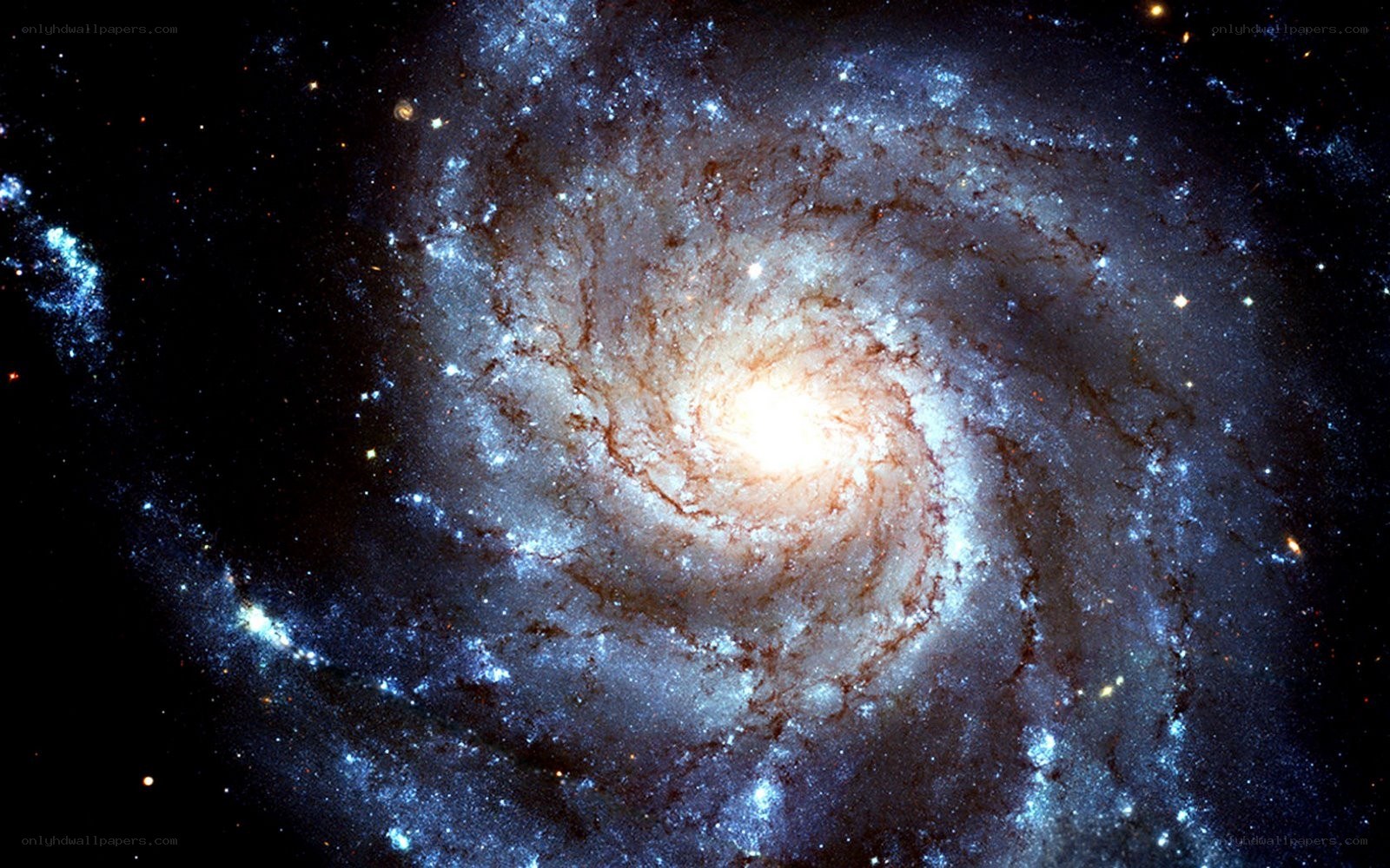 Spiral galaxy in deep space