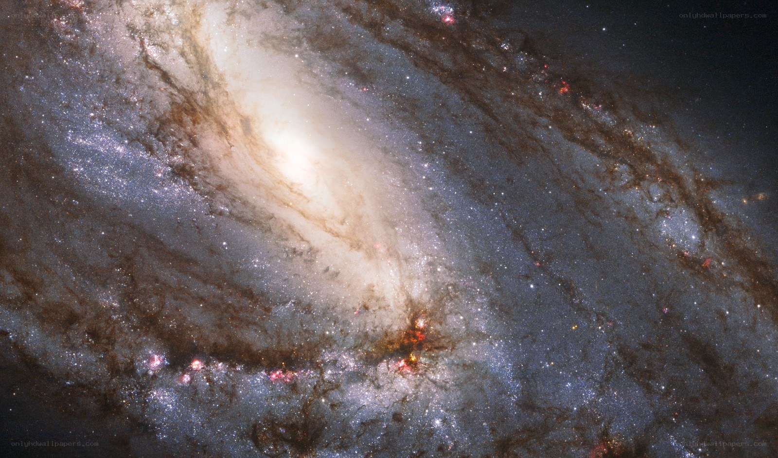 Spiral galaxy in deep space