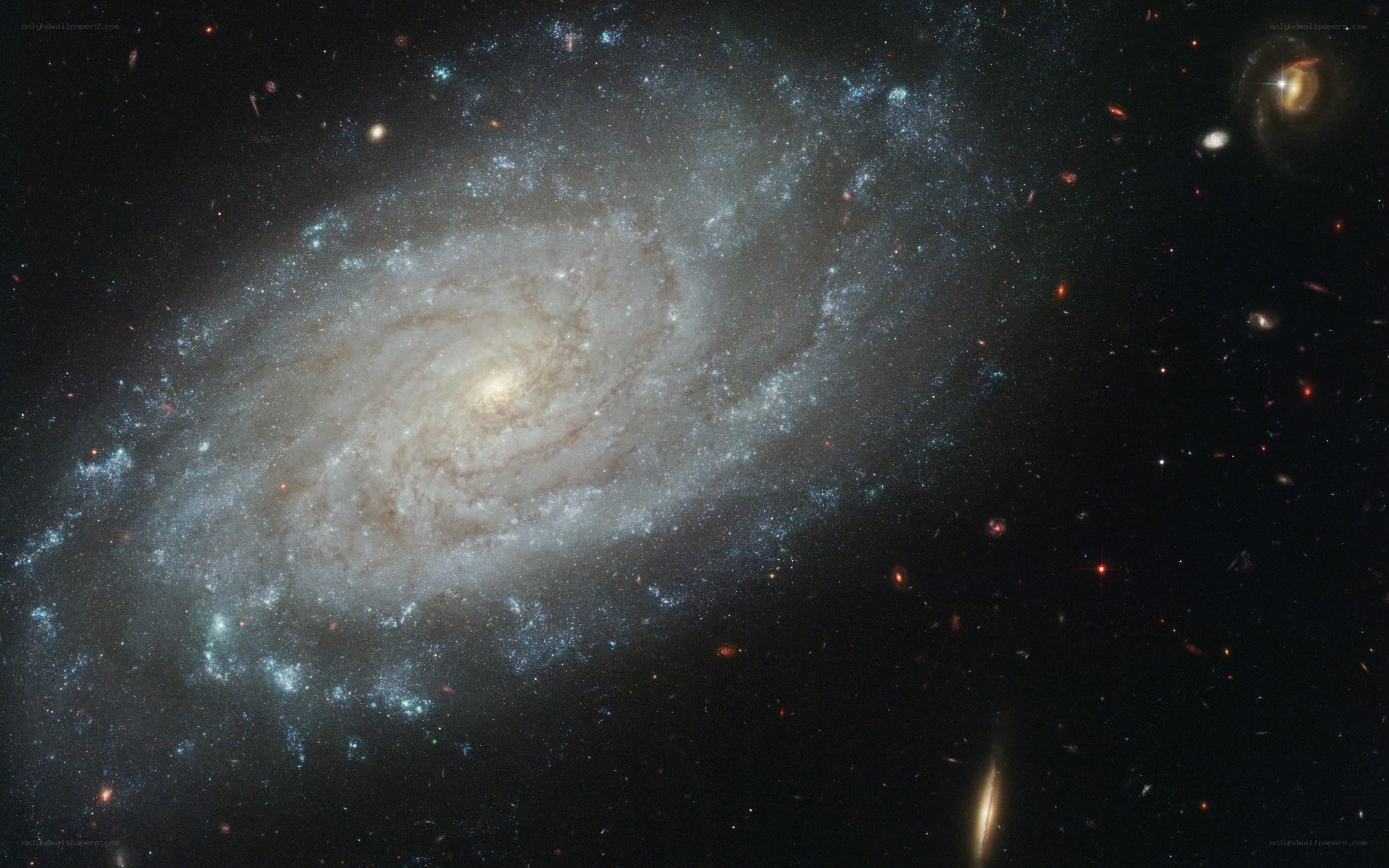 Spiral galaxy in deep space