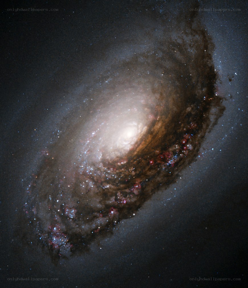 Spiral galaxy in deep space