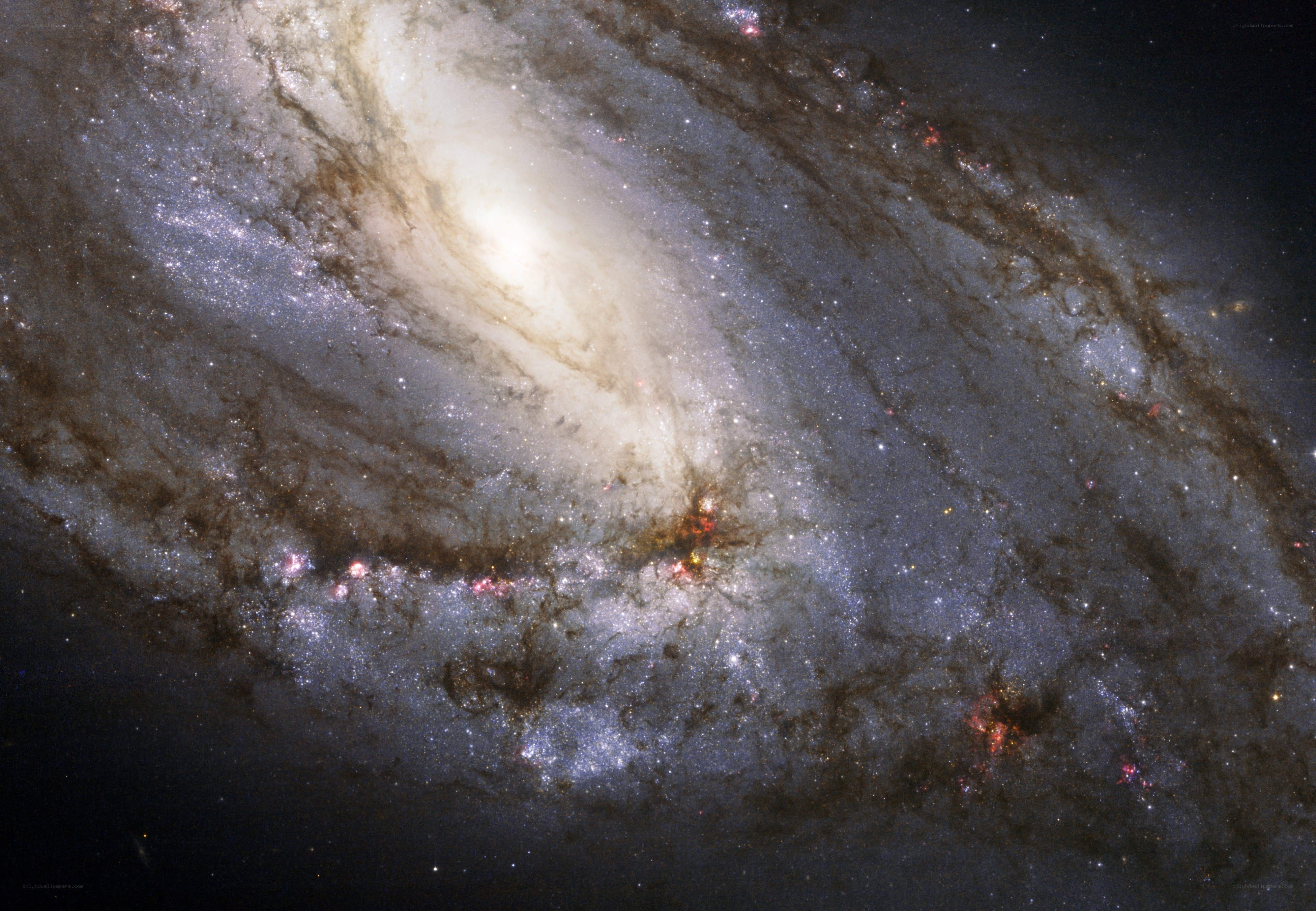 Spiral galaxy in deep space