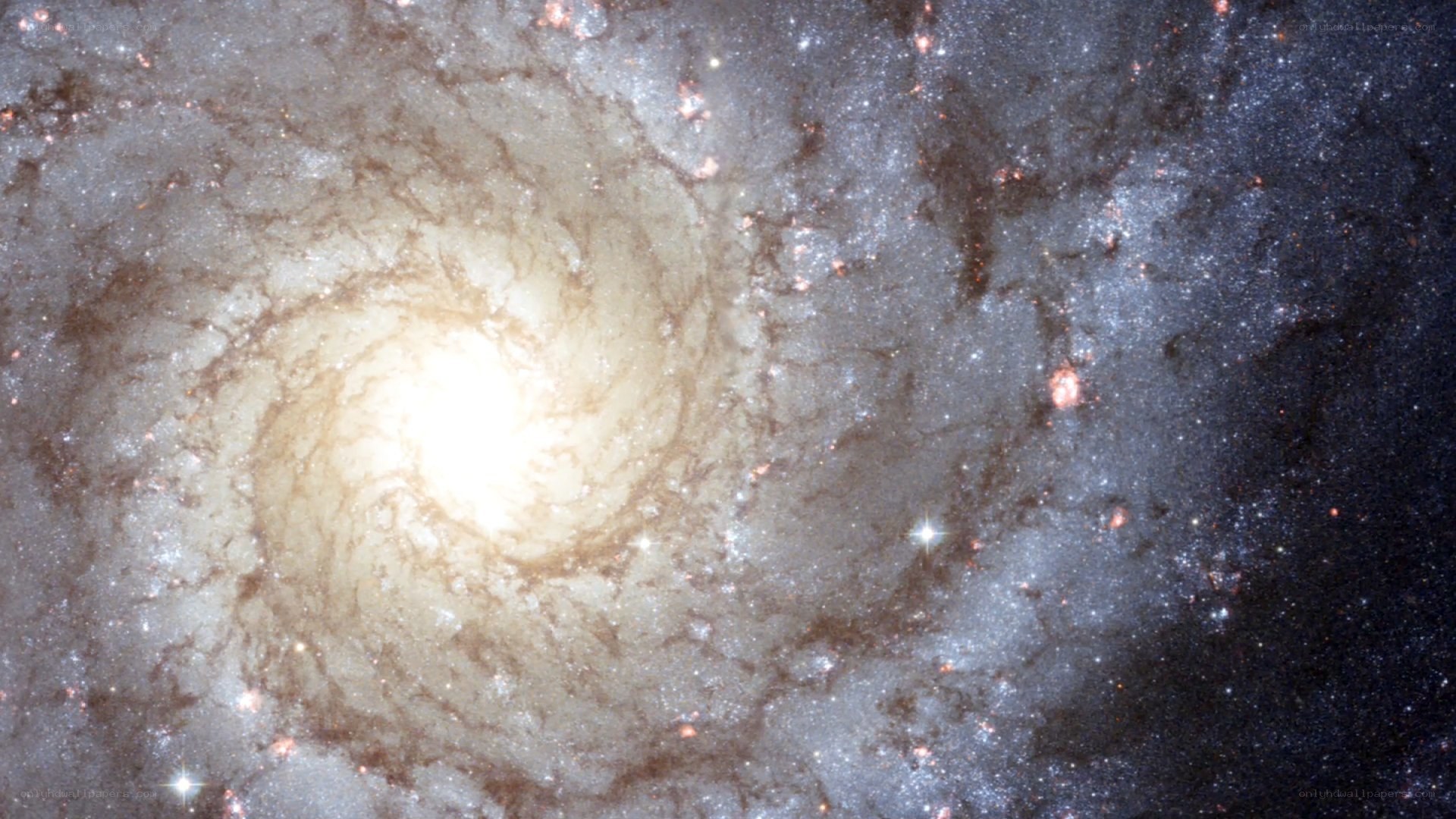 Spiral galaxy in deep space
