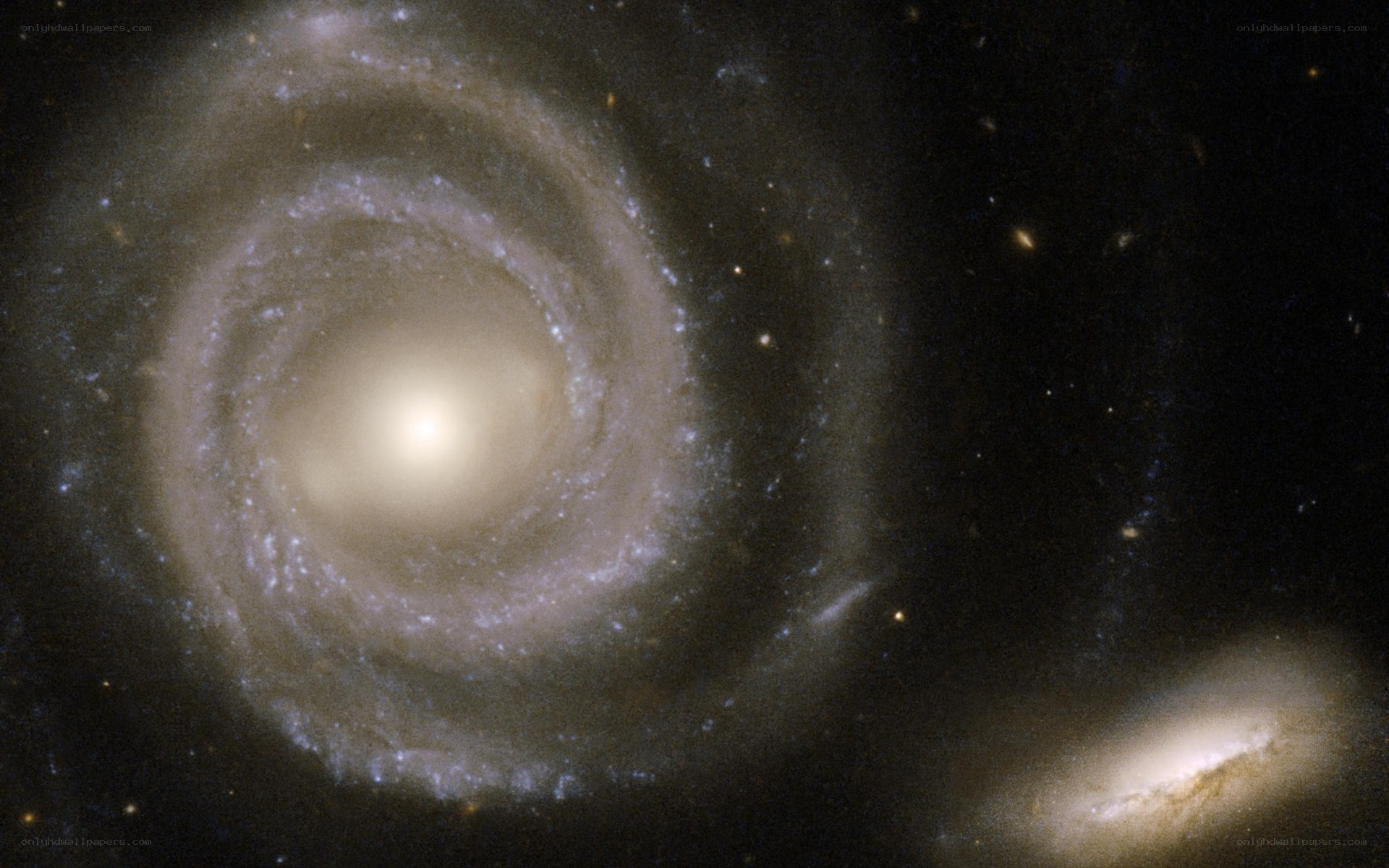 Spiral galaxy in deep space