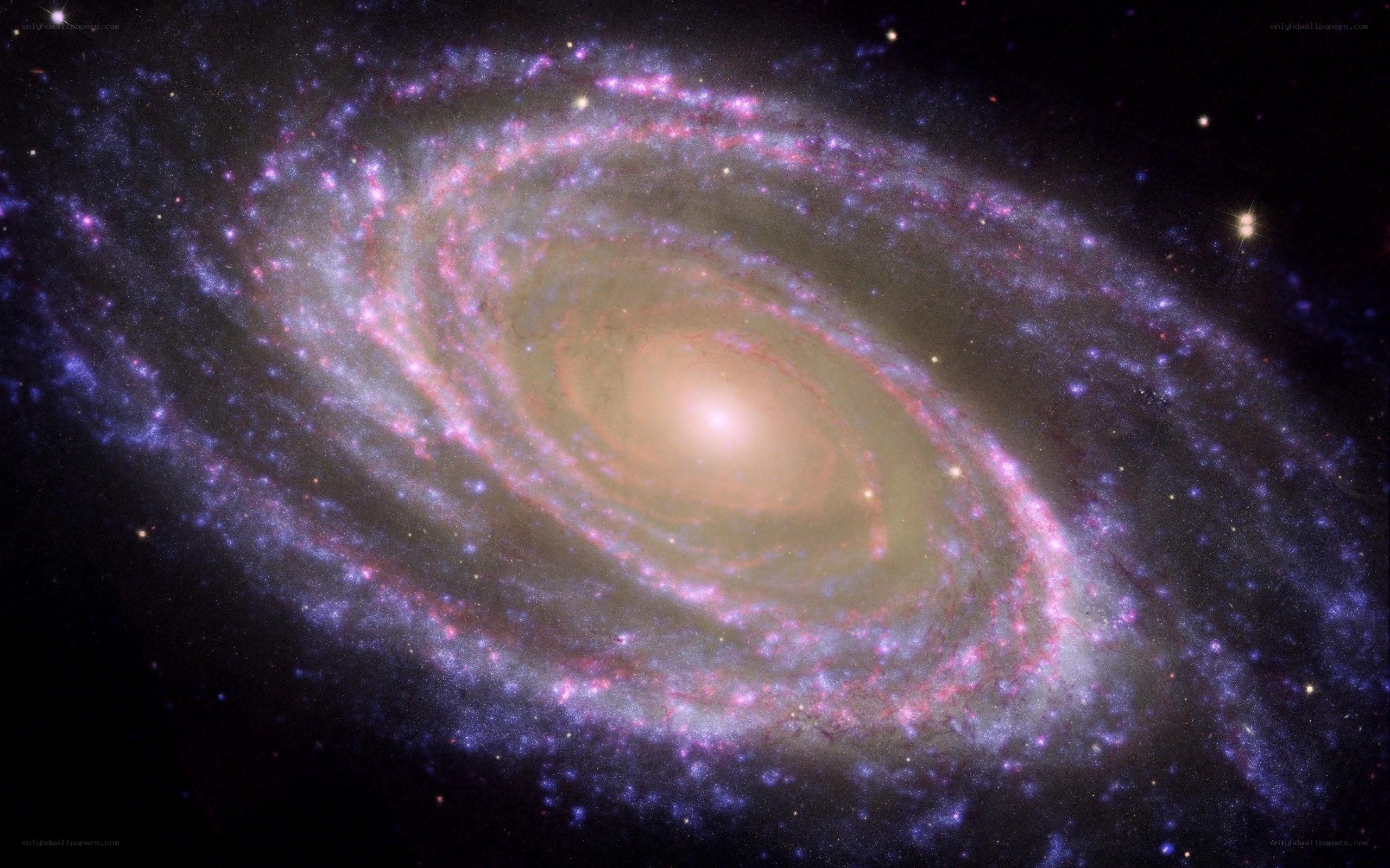 Spiral galaxy in deep space