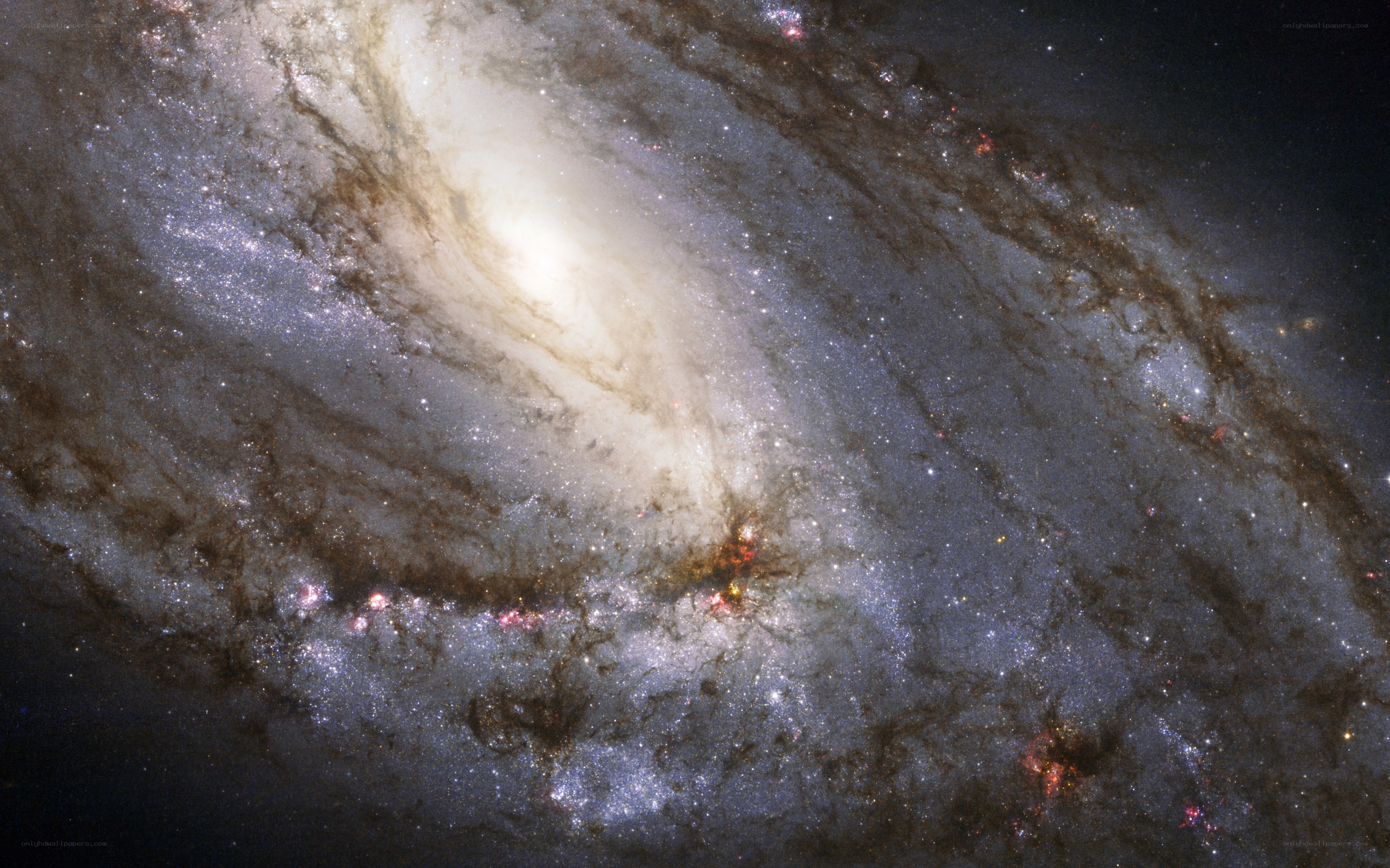 Spiral galaxy in deep space