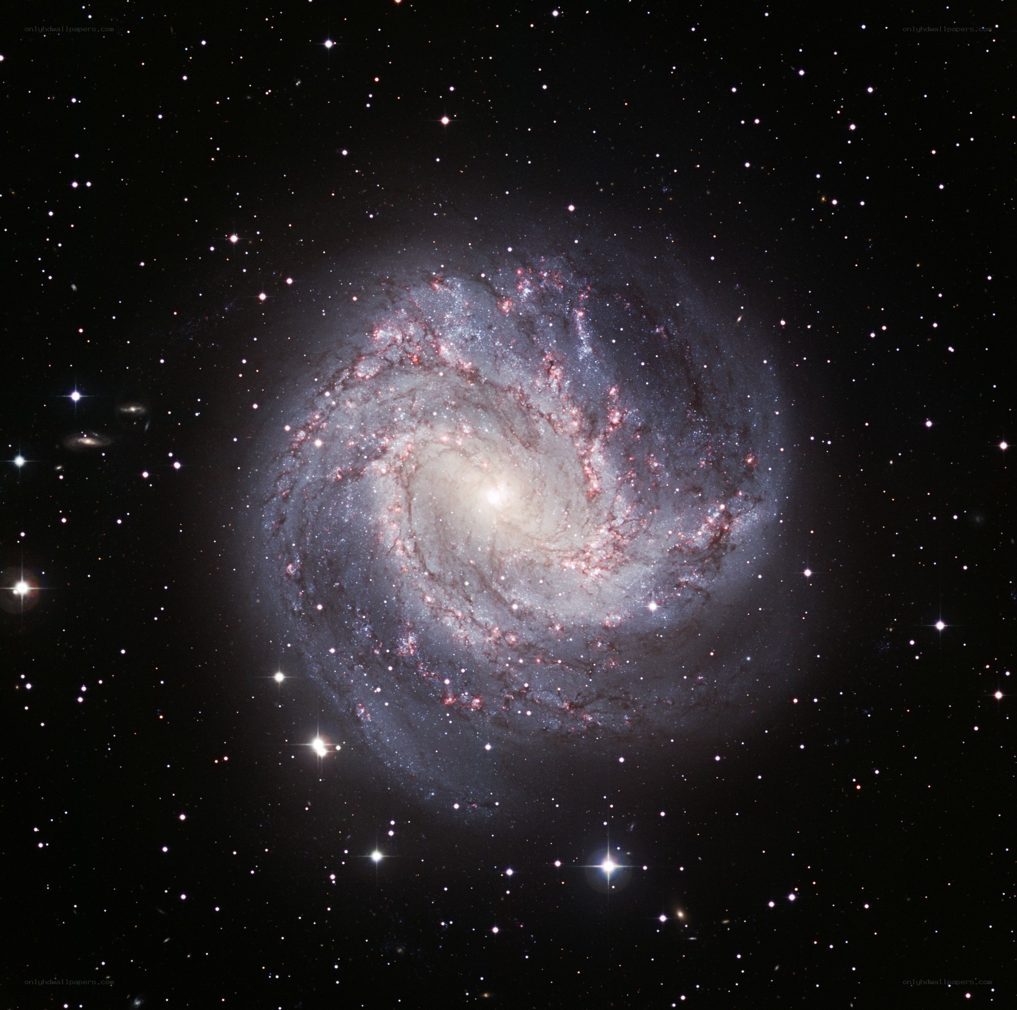 Spiral galaxy in deep space
