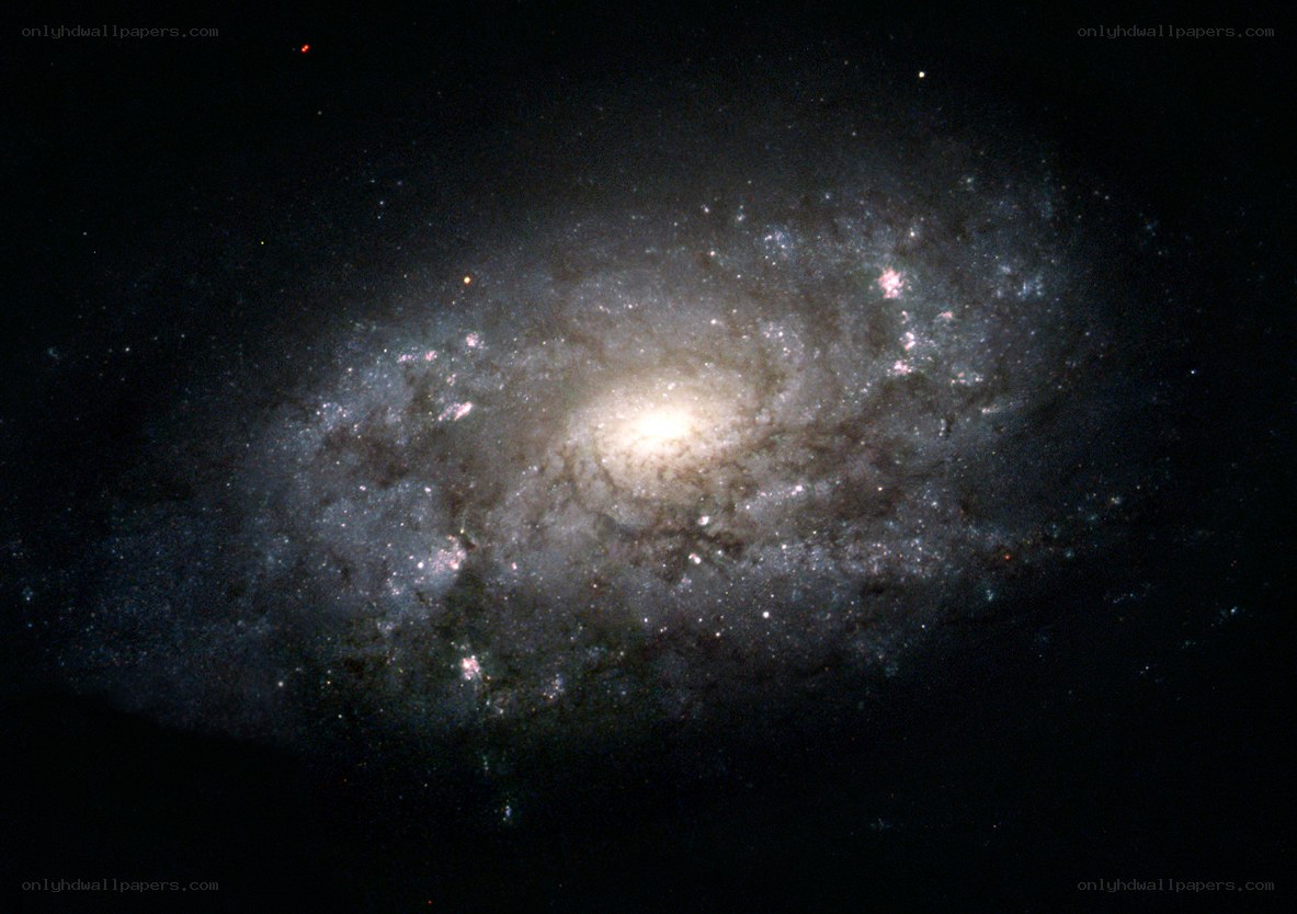Spiral galaxy in deep space