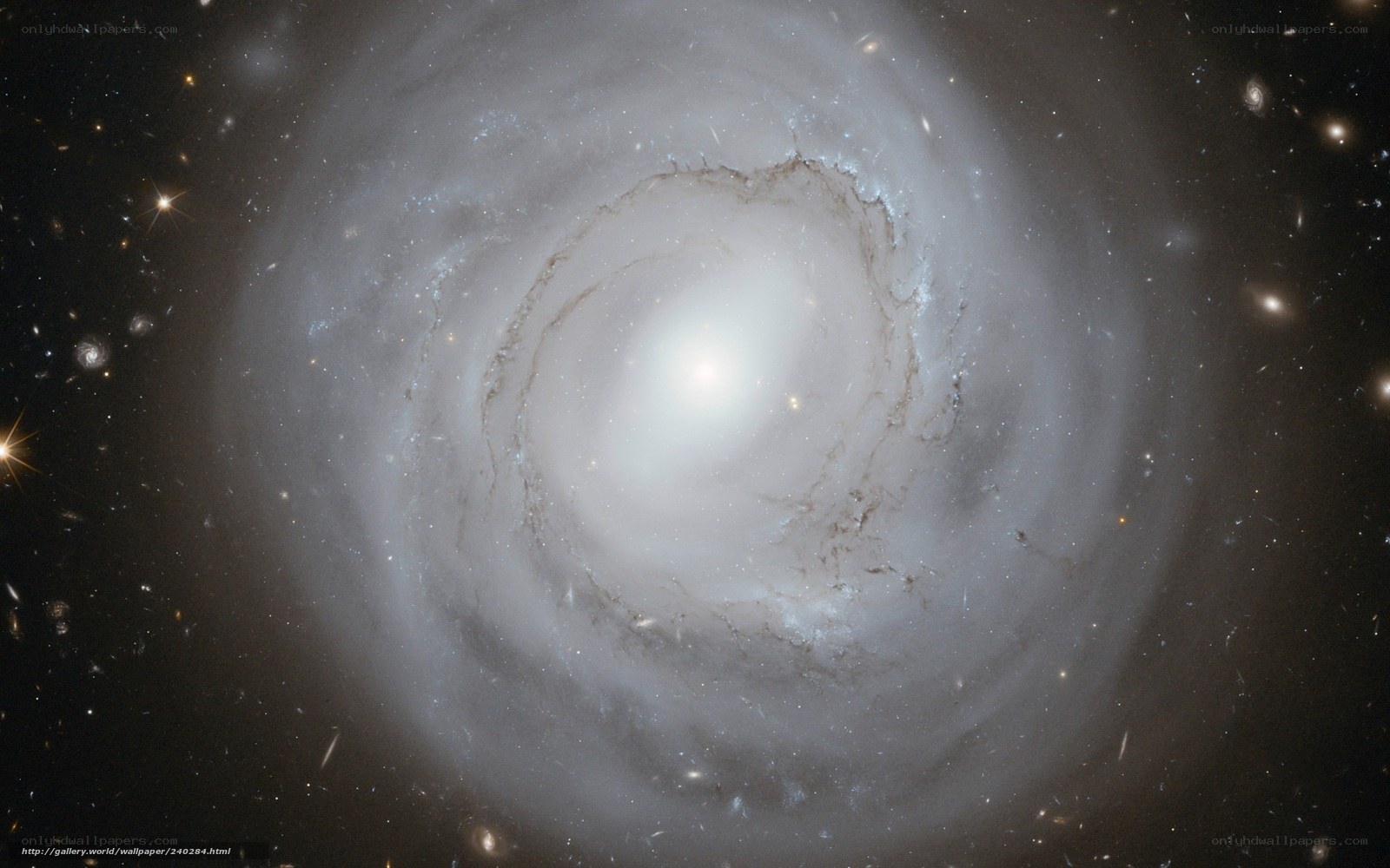 Spiral galaxy in deep space