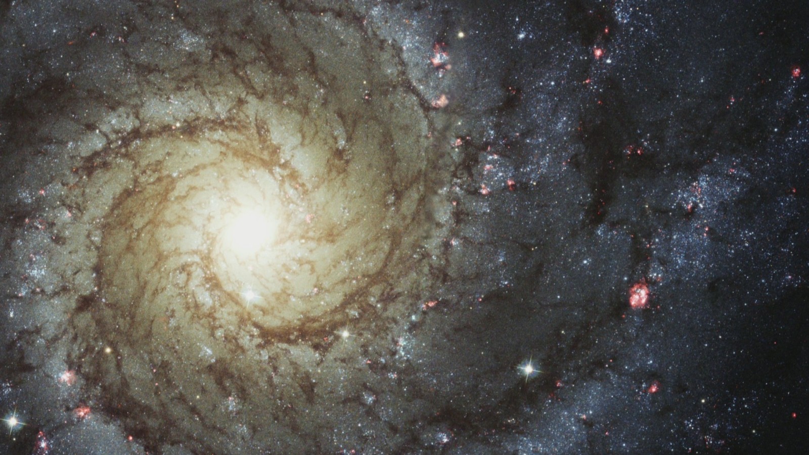 Spiral galaxy in deep space
