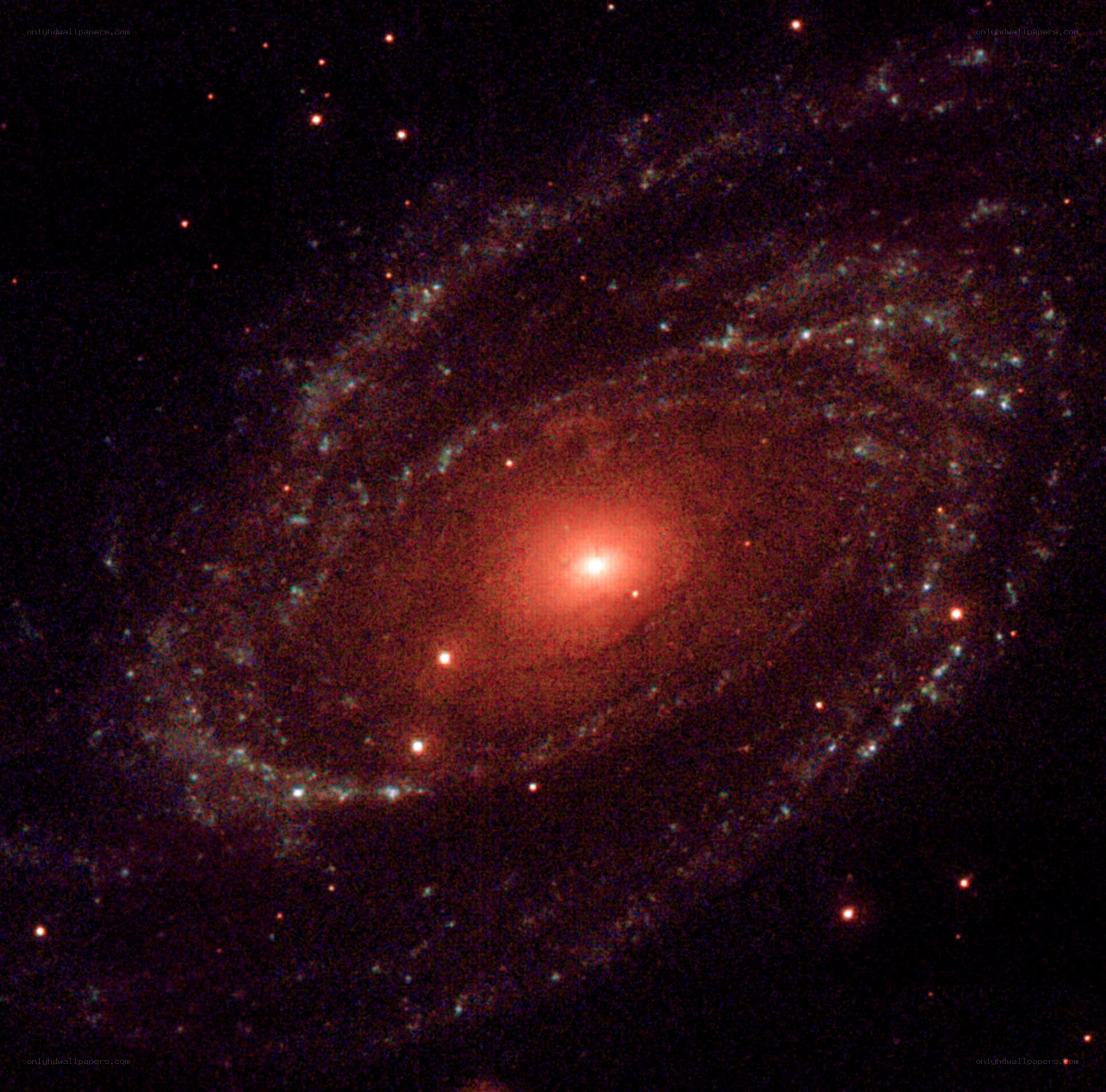 Spiral galaxy in deep space