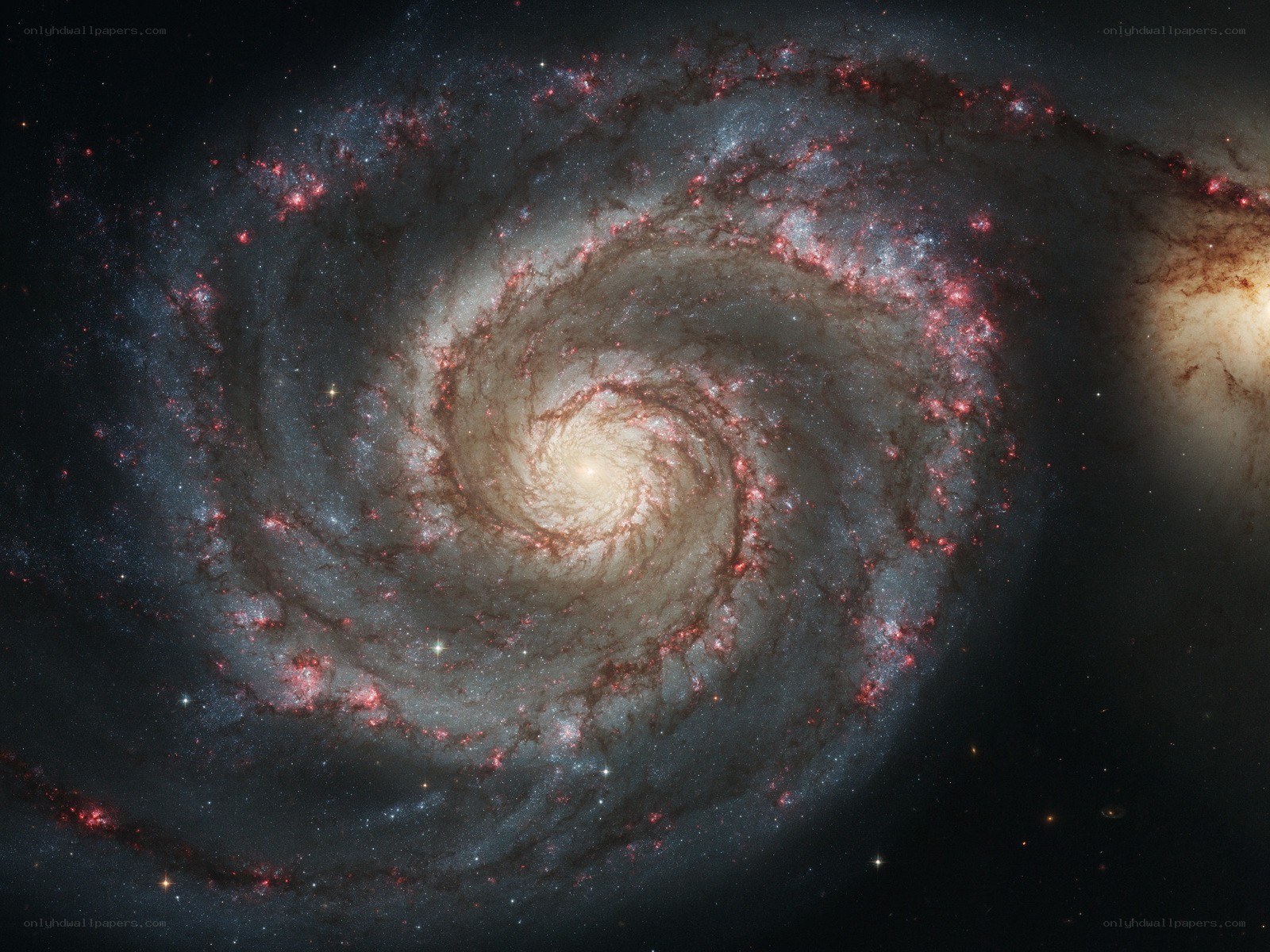 Spiral galaxy in deep space