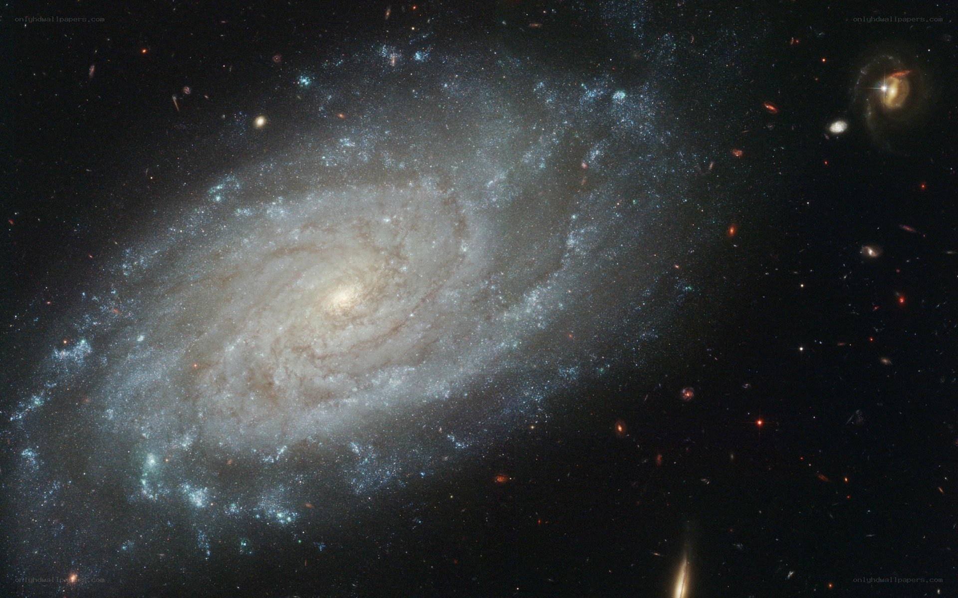 Spiral galaxy in deep space