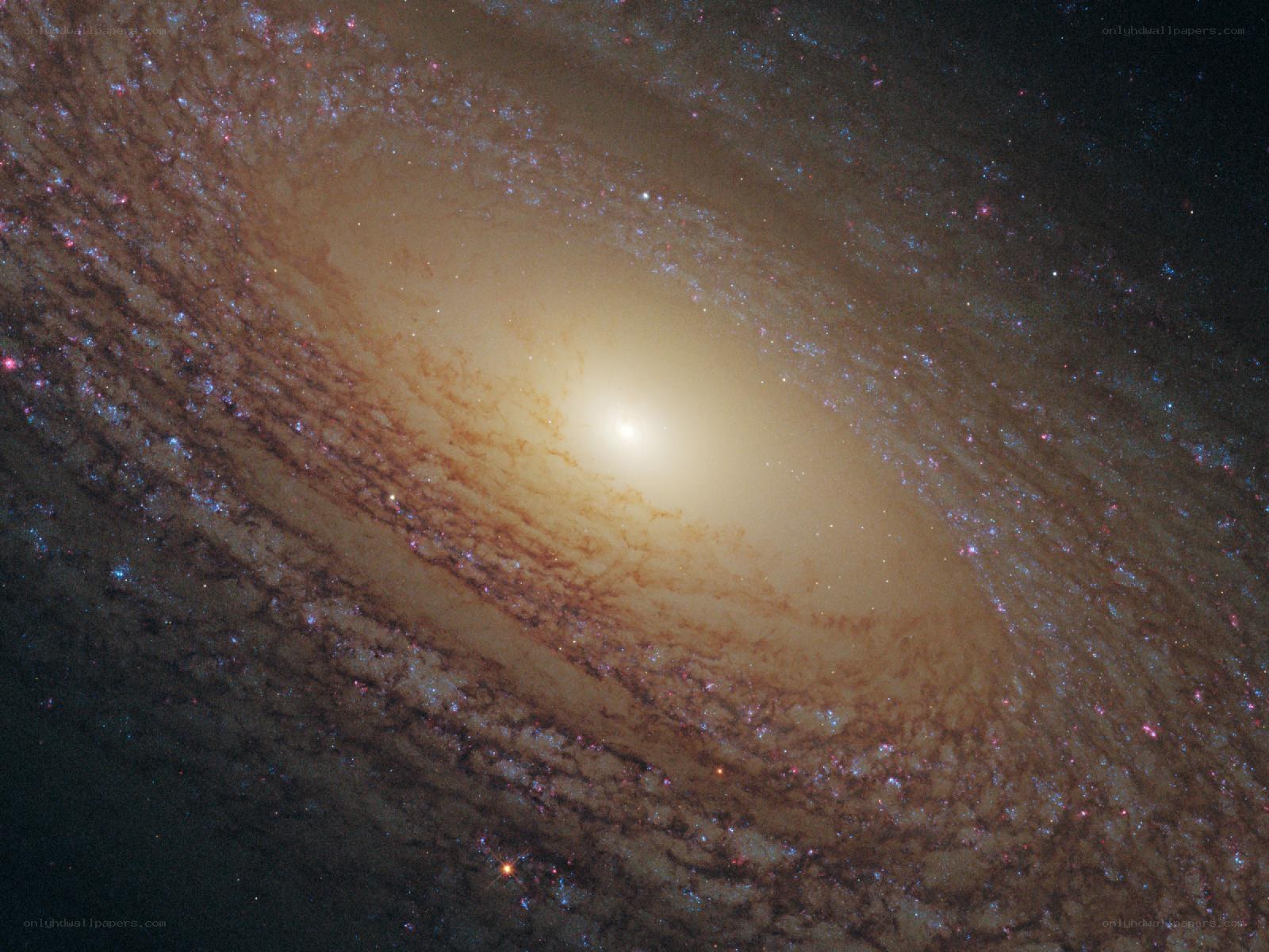 Spiral galaxy in deep space