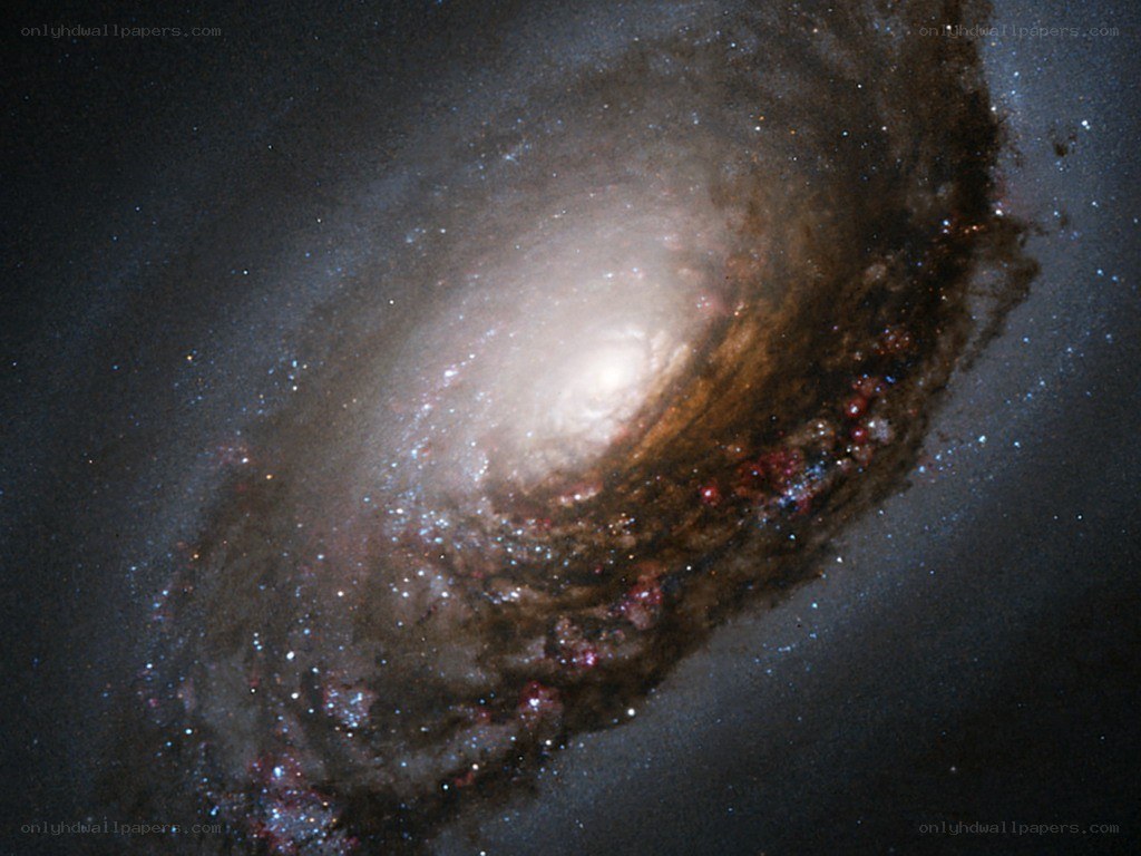 Spiral galaxy in deep space