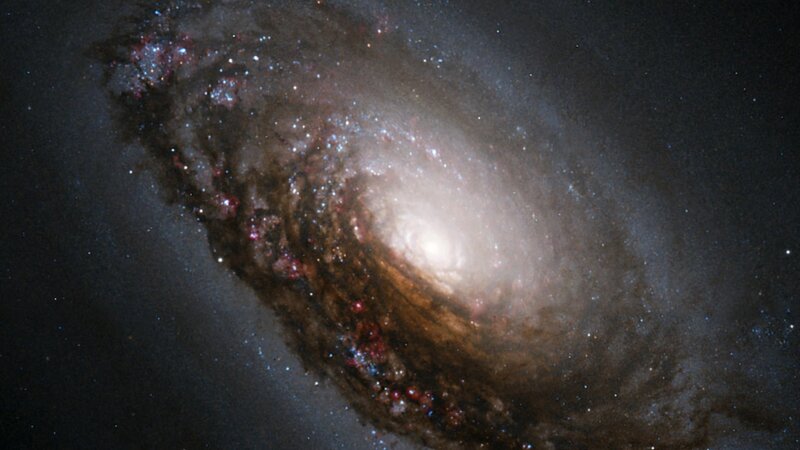 Spiral galaxy in deep space