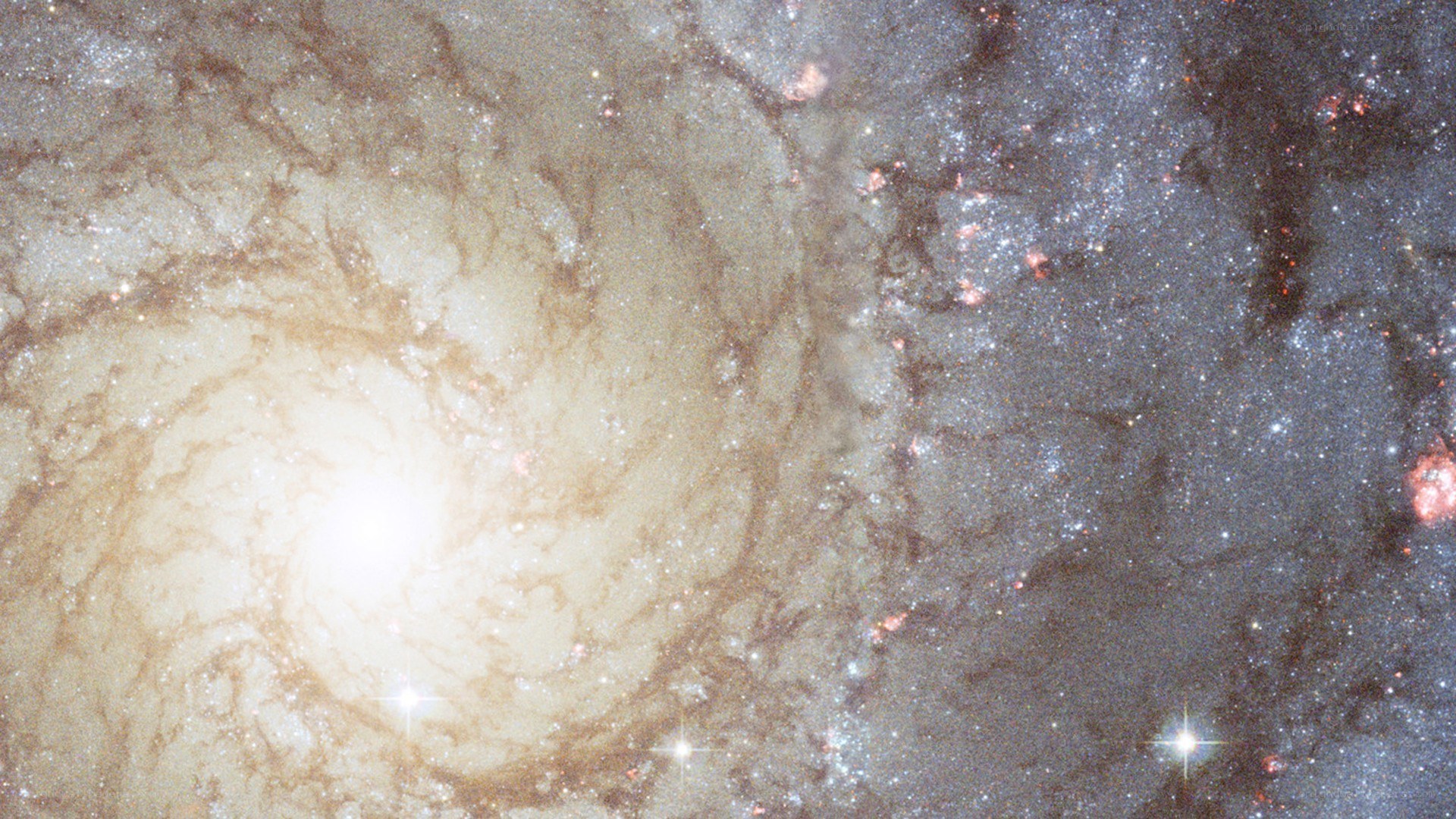 Spiral galaxy in deep space