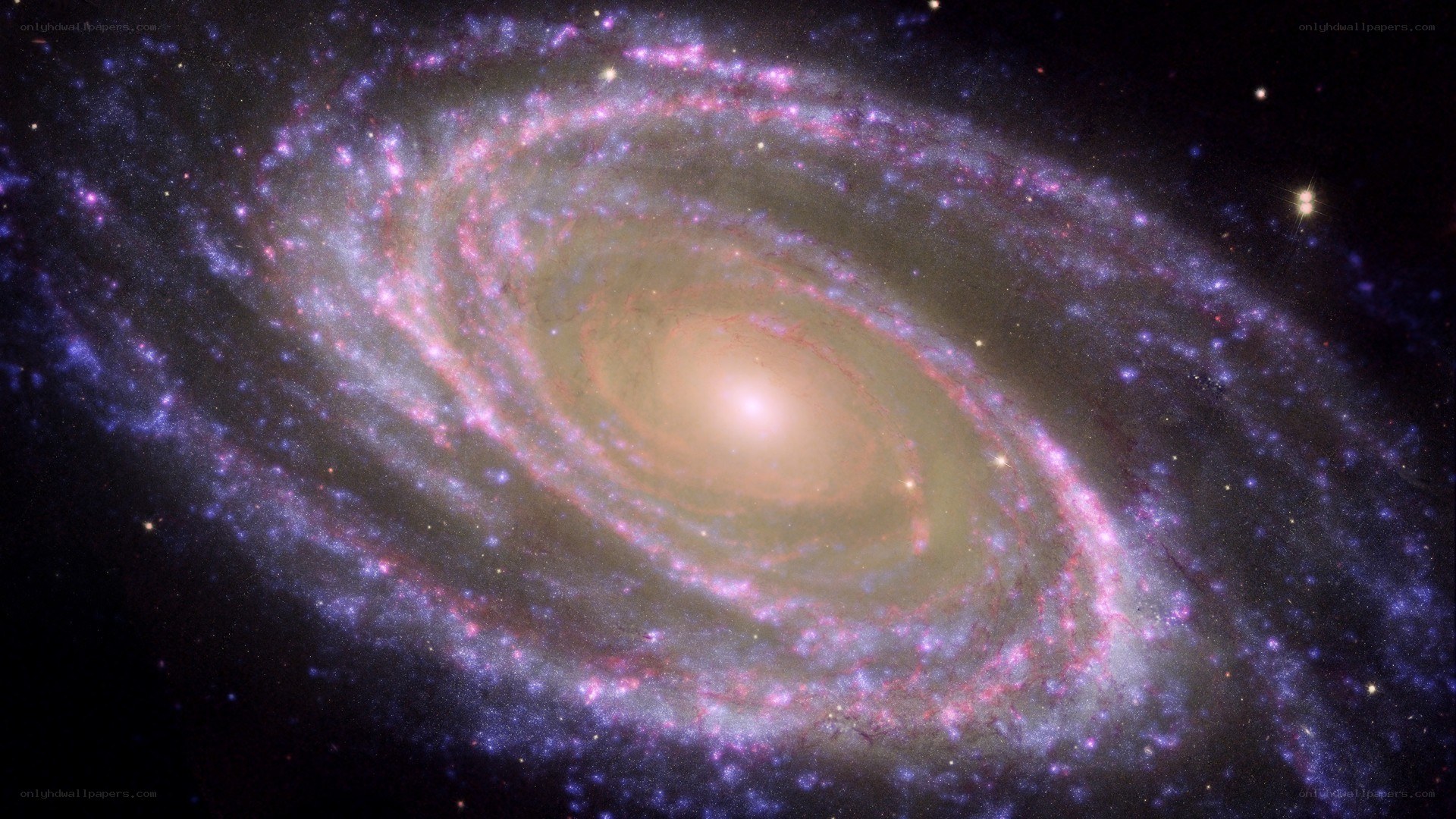 Spiral galaxy in deep space