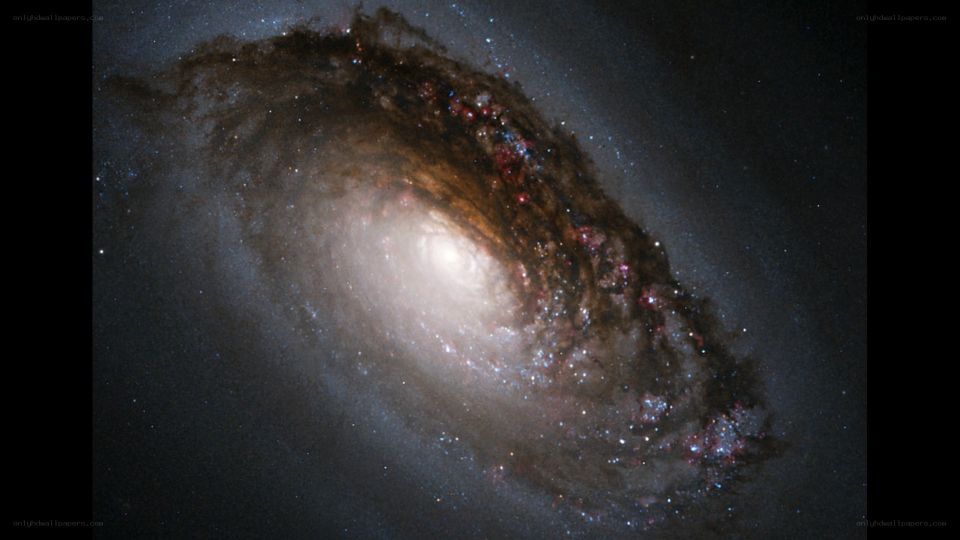 Spiral galaxy in deep space