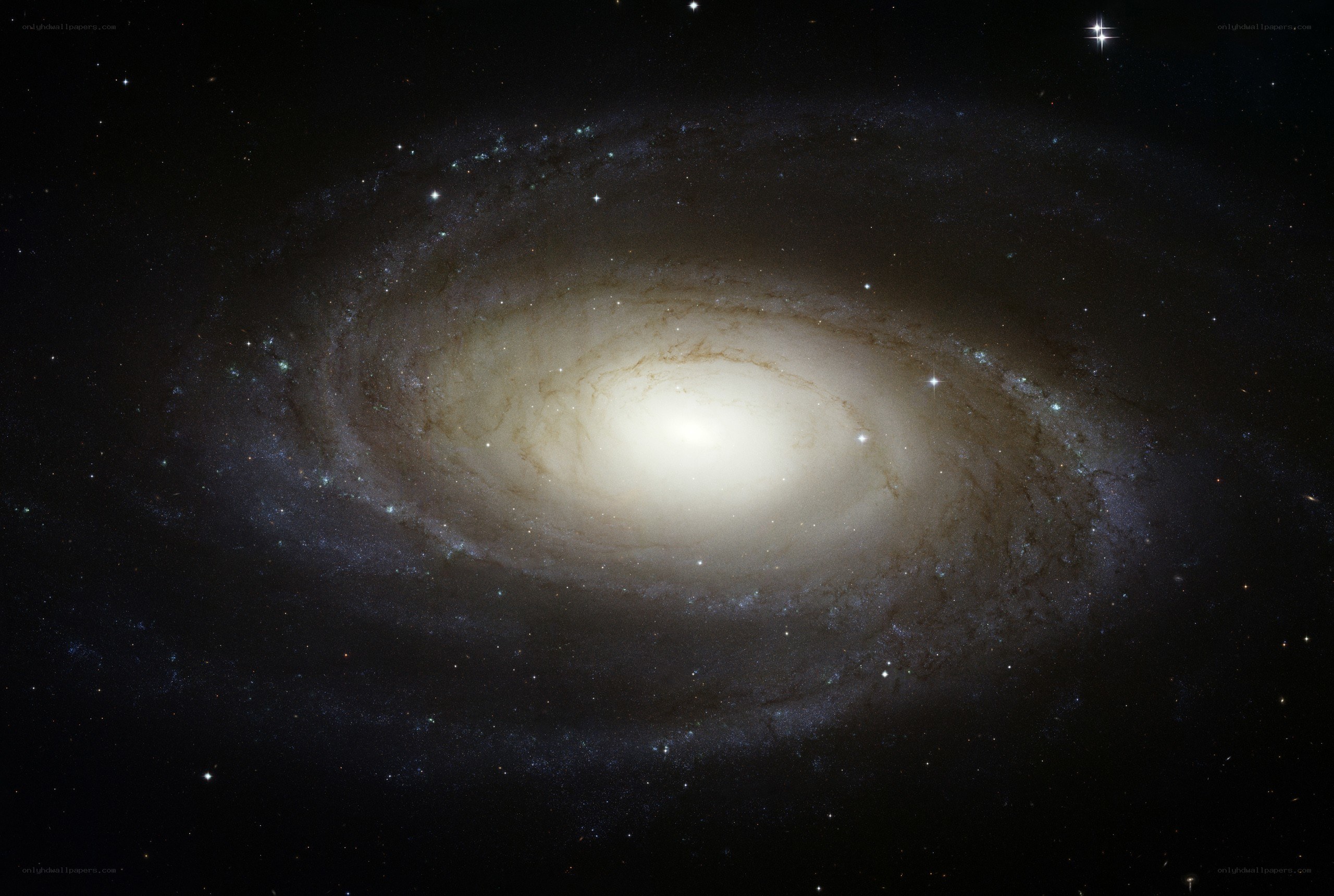 Spiral galaxy in deep space