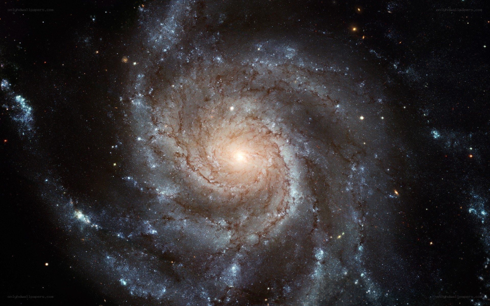 Spiral galaxy in deep space