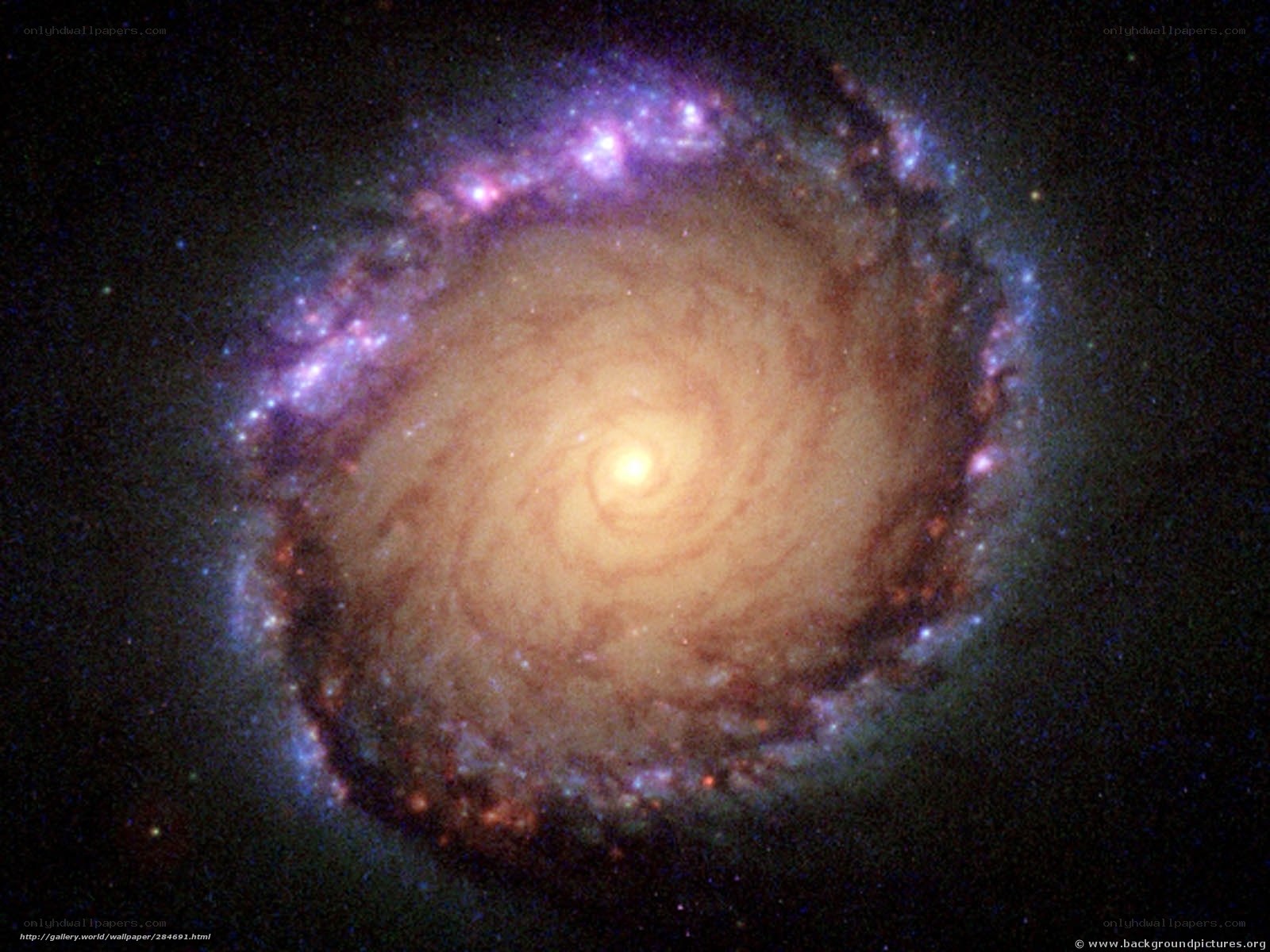 Spiral galaxy in deep space