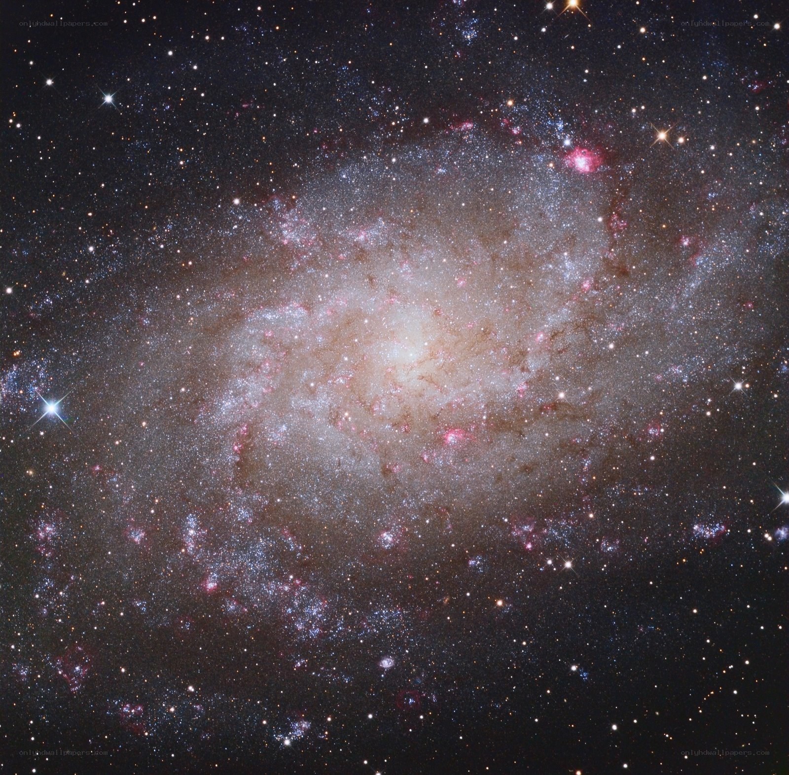 Spiral galaxy in deep space