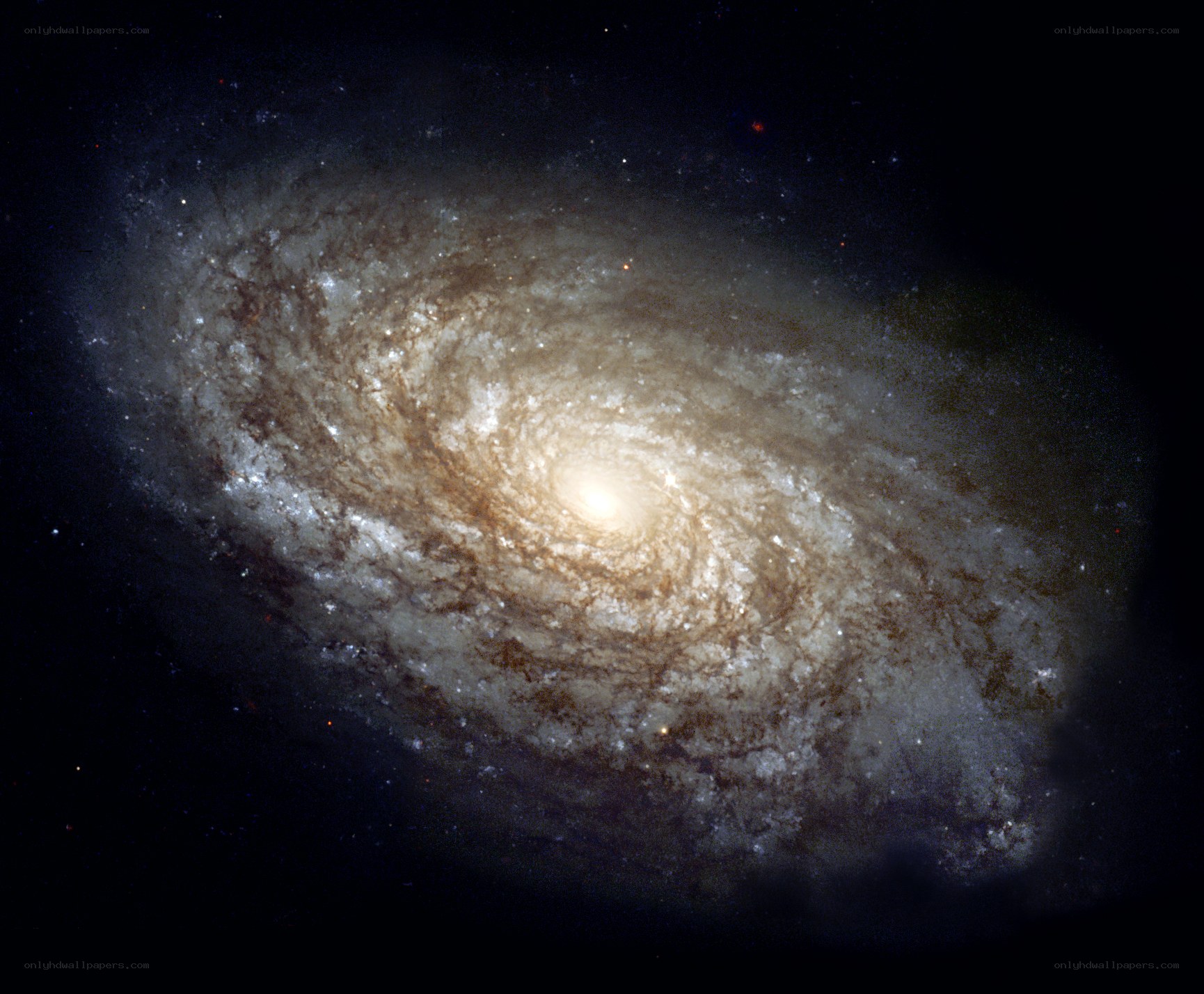 Spiral galaxy in deep space