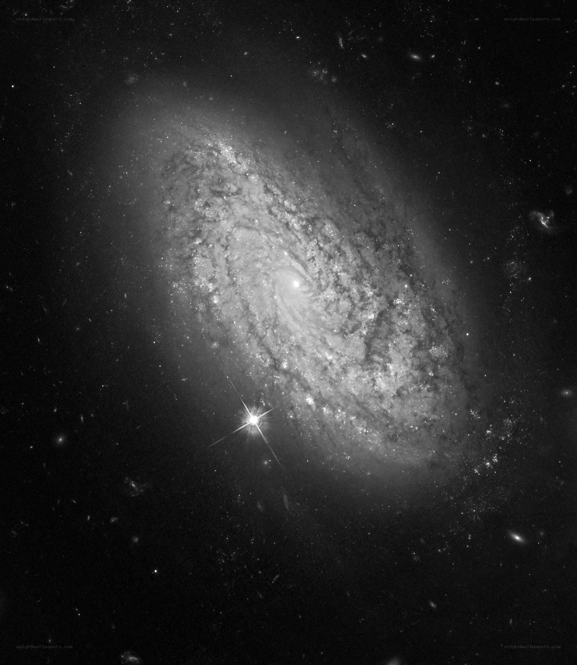 Spiral galaxy in deep space