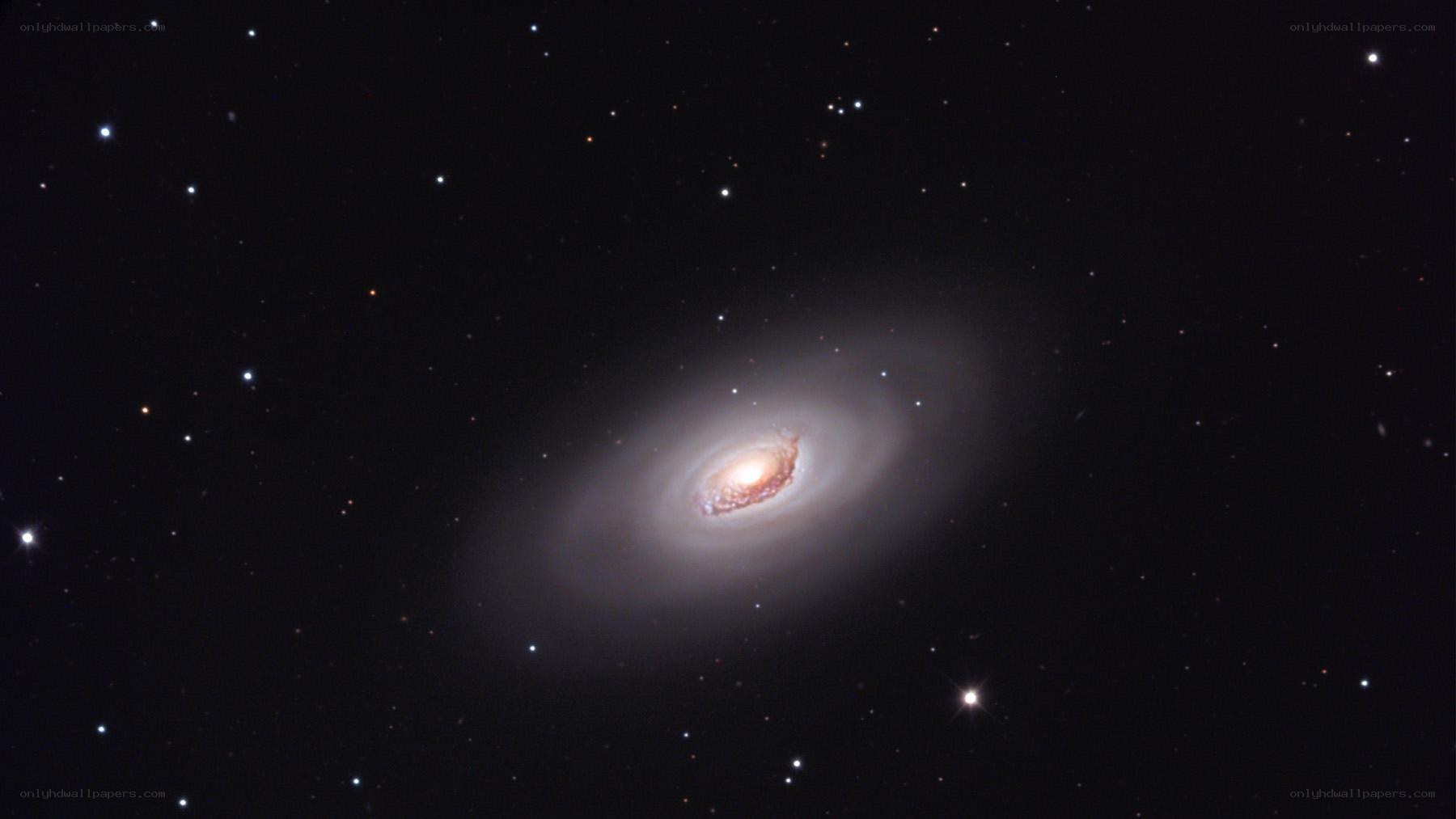 Spiral galaxy in deep space