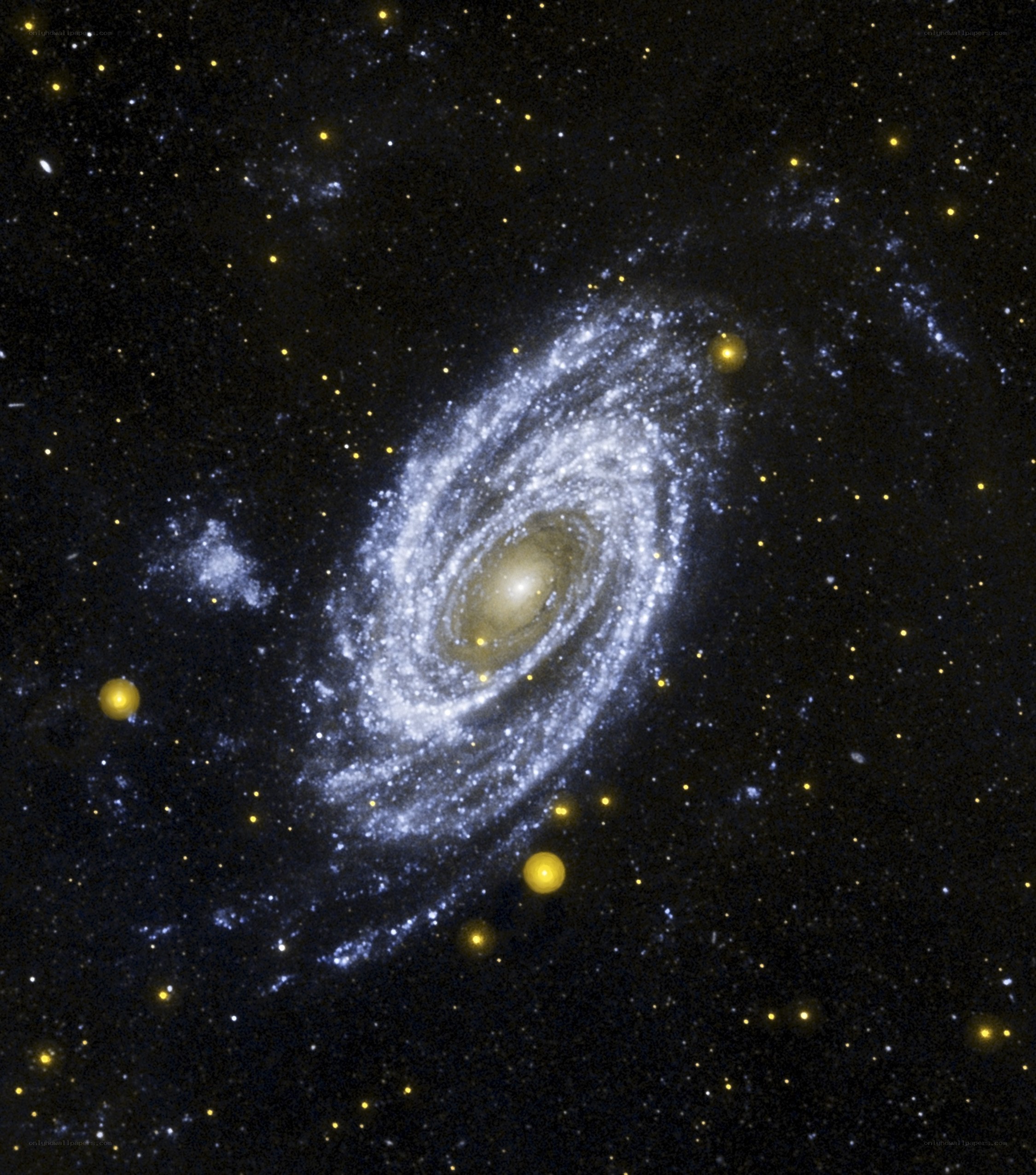 Spiral galaxy in deep space