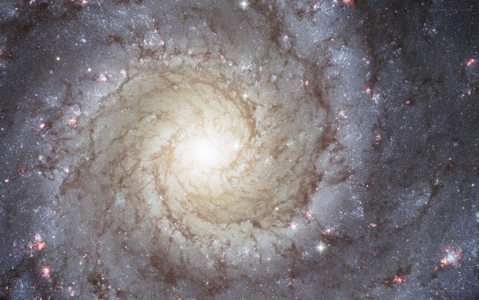 Spiral galaxy in deep space