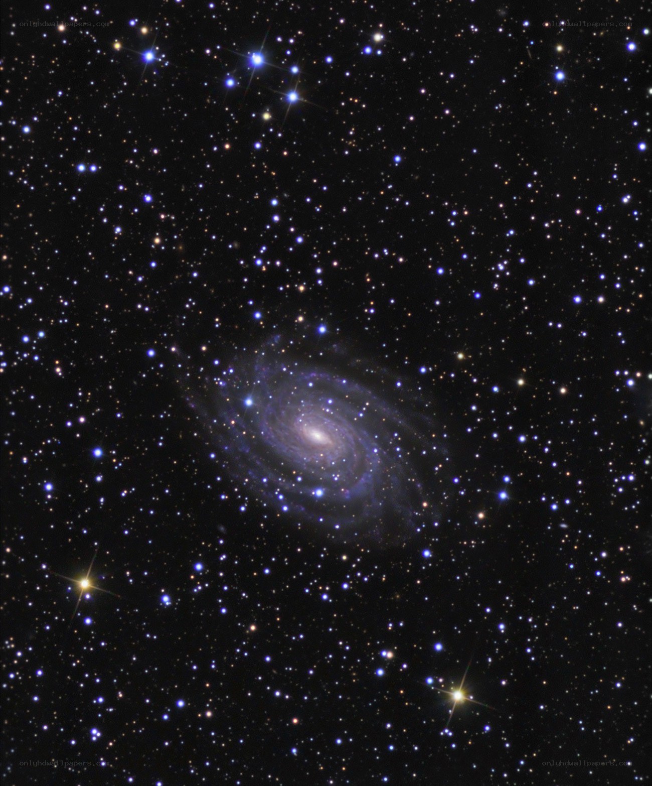 Spiral galaxy in deep space