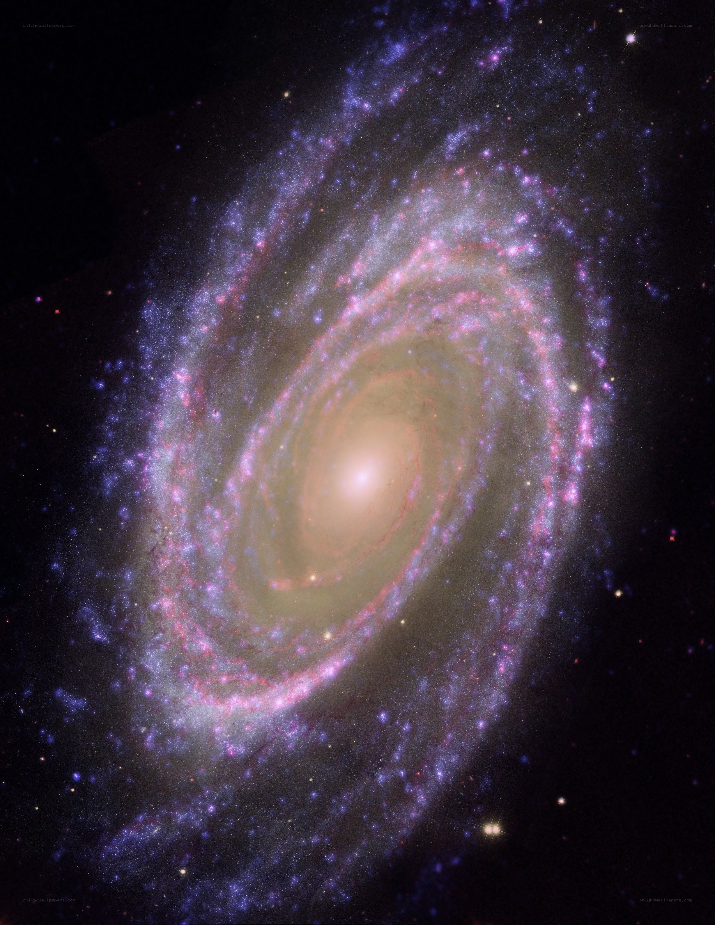 Spiral galaxy in deep space