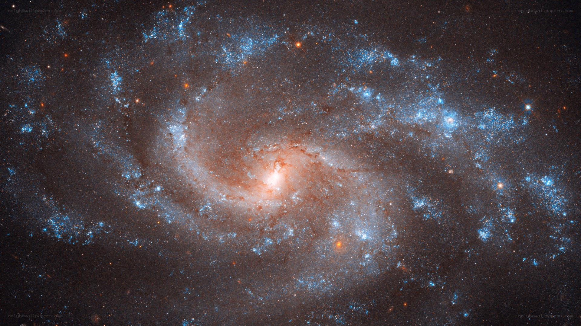 Spiral galaxy in deep space