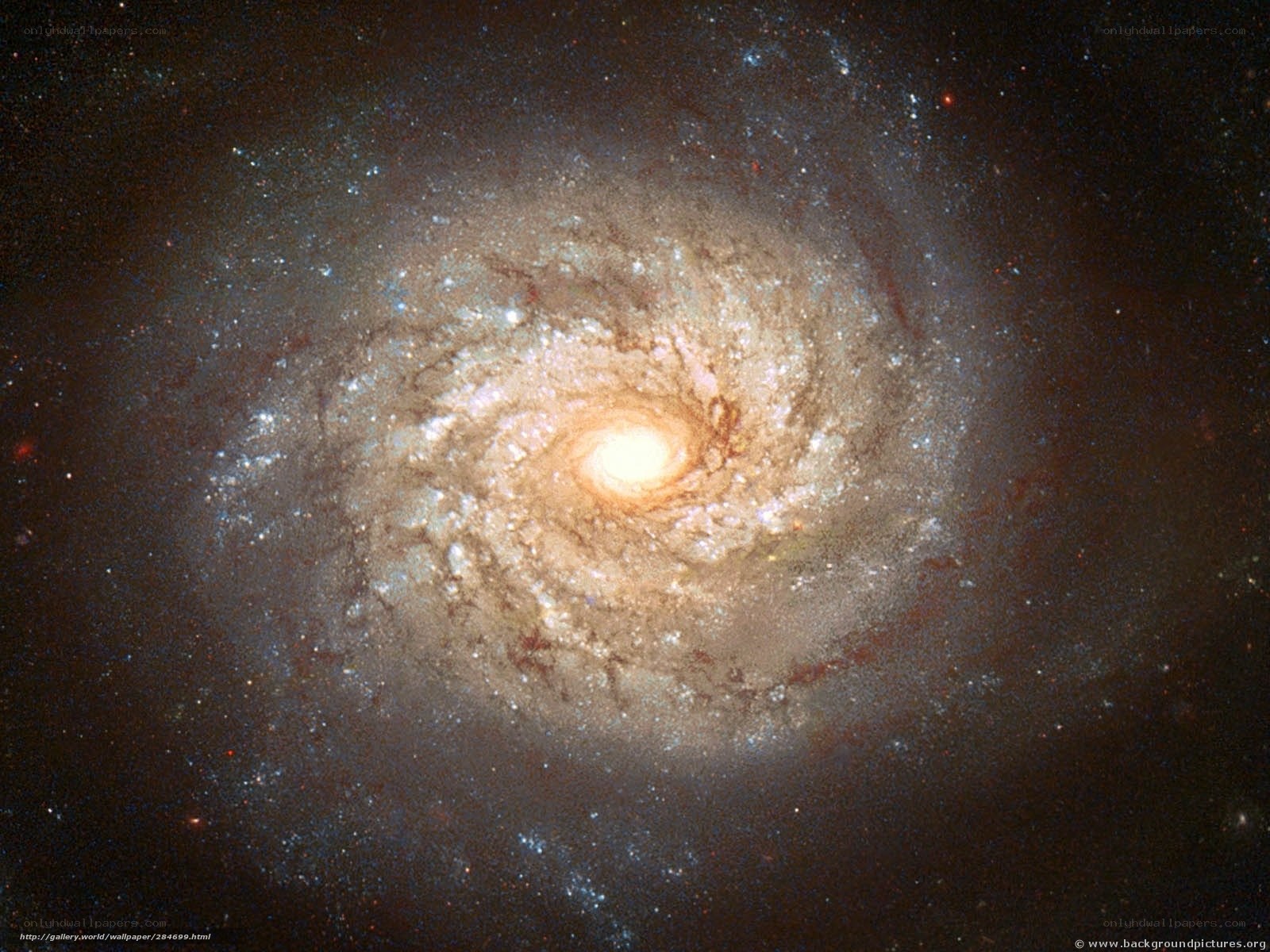 Spiral galaxy in deep space