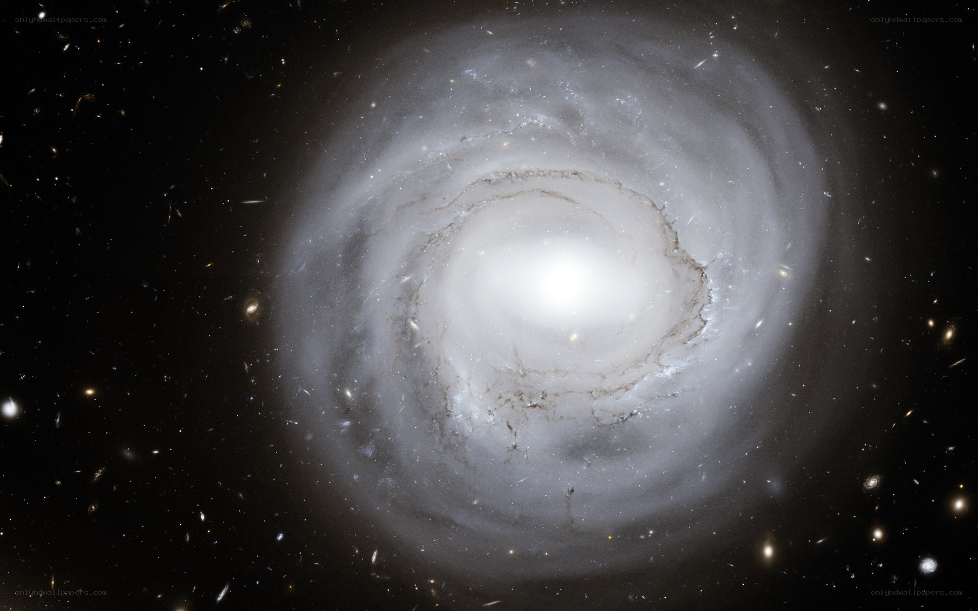Spiral galaxy in deep space