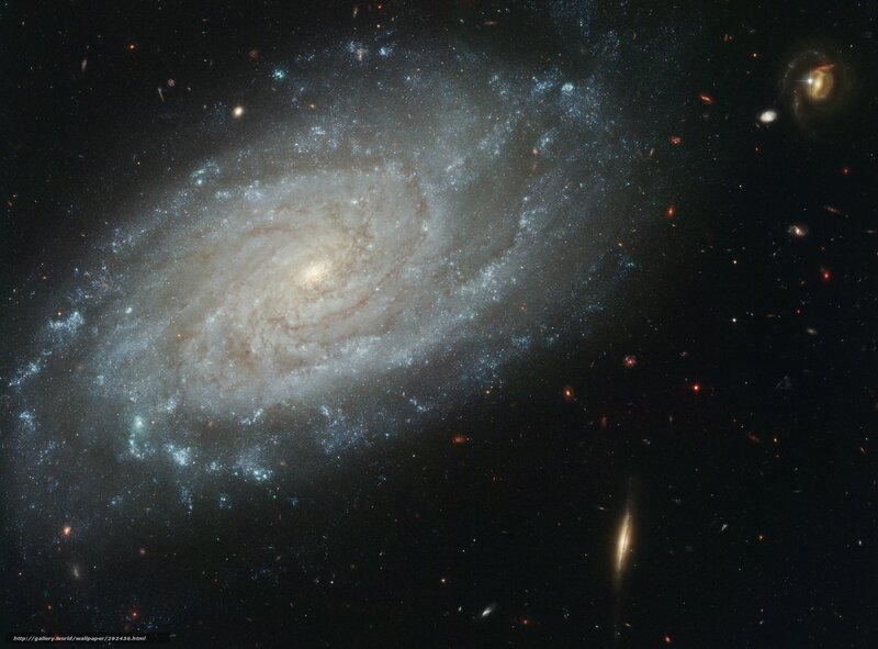Spiral galaxy in deep space
