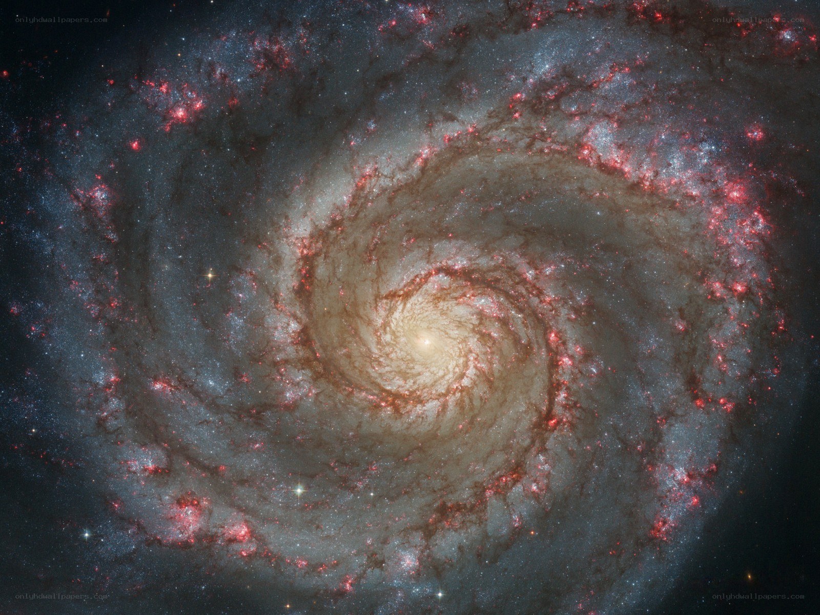 Spiral galaxy in deep space