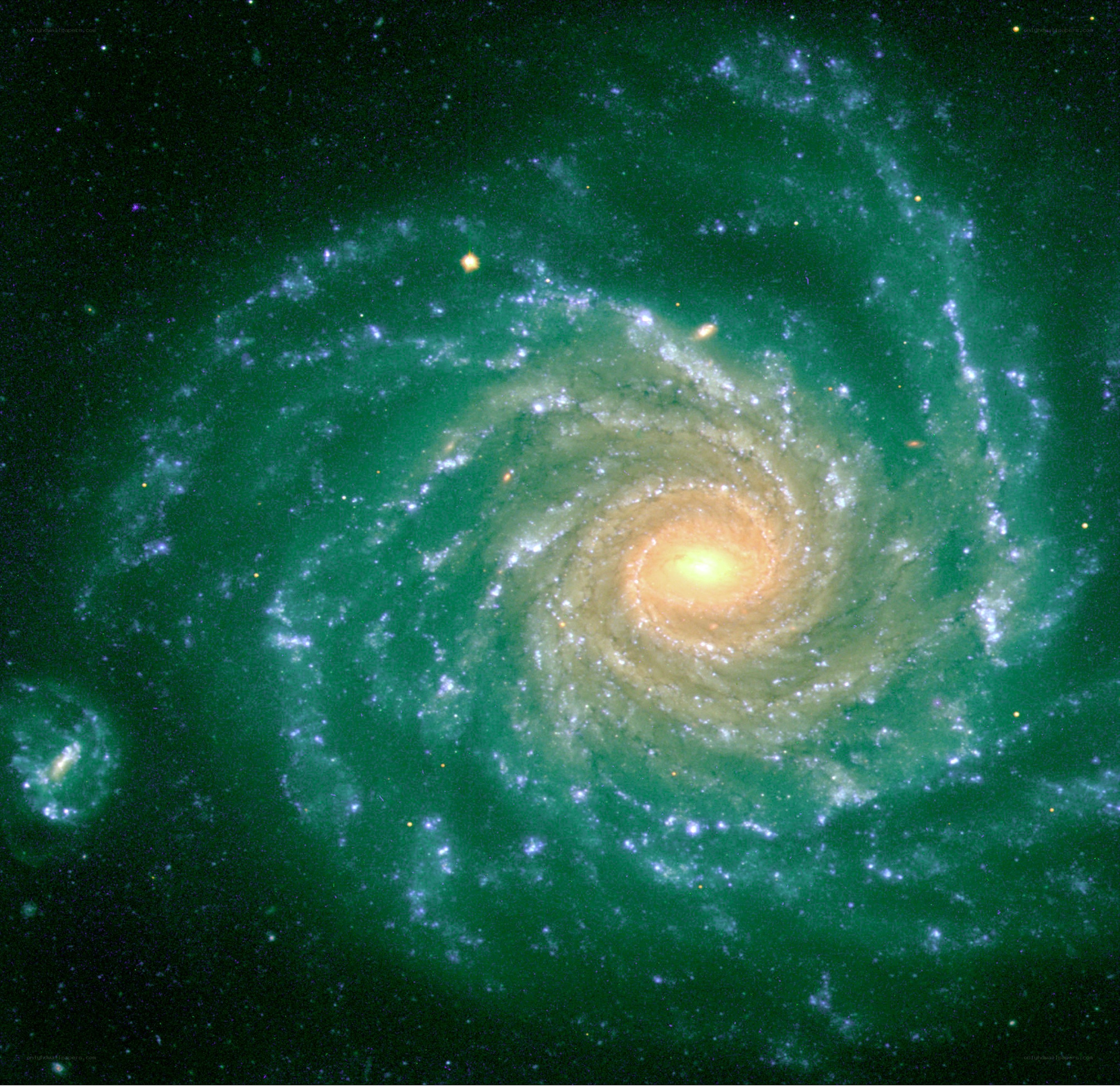 Spiral galaxy in deep space