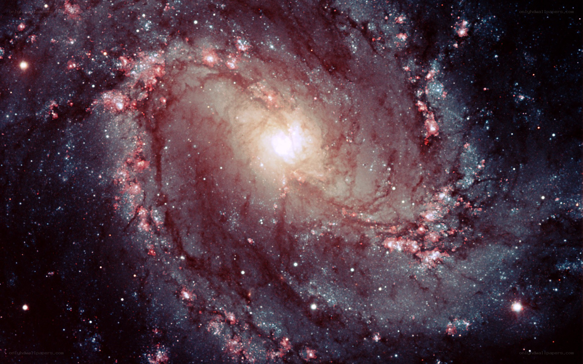 Spiral galaxy in deep space