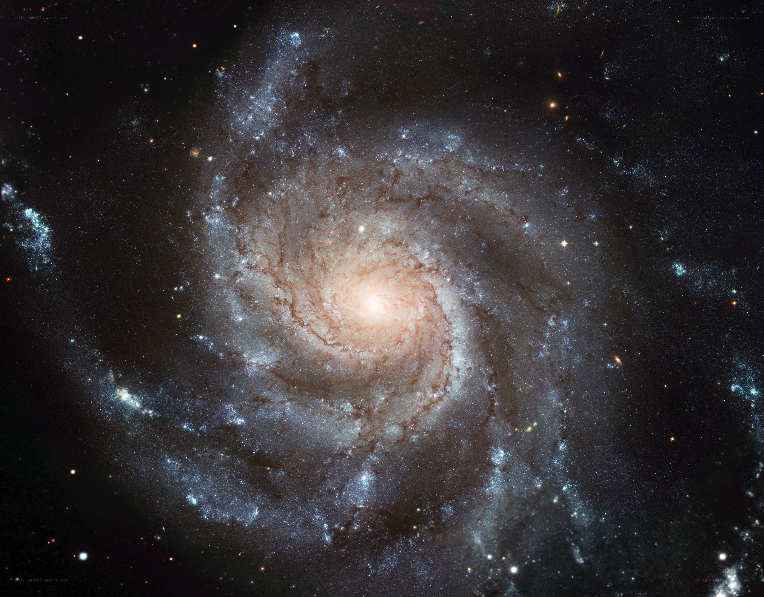 Spiral galaxy in deep space