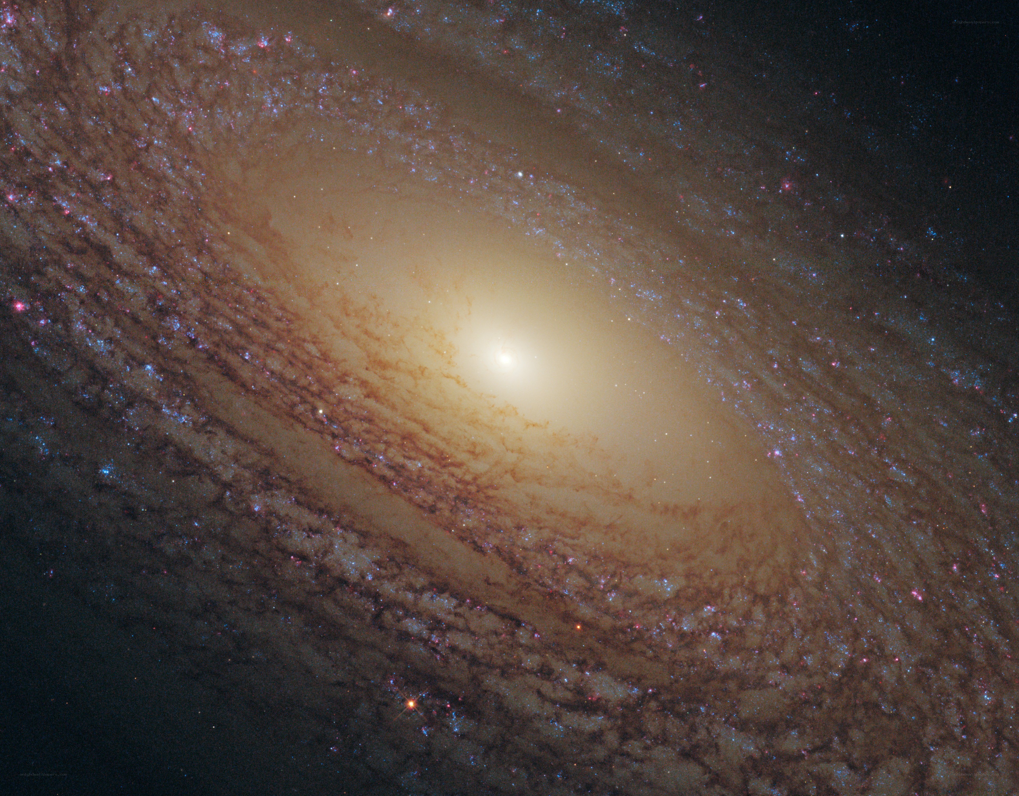Spiral galaxy in deep space