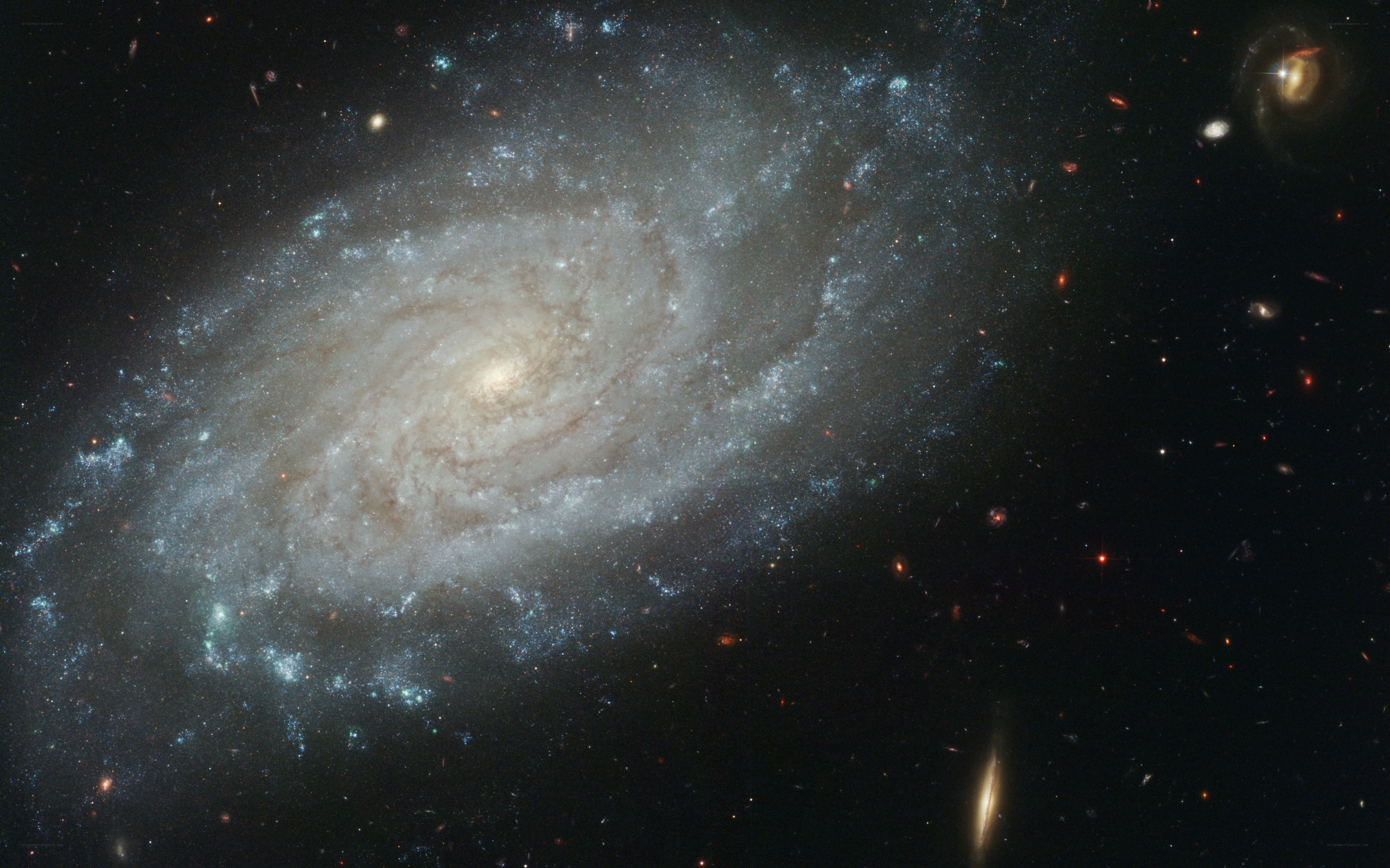 Spiral galaxy in deep space