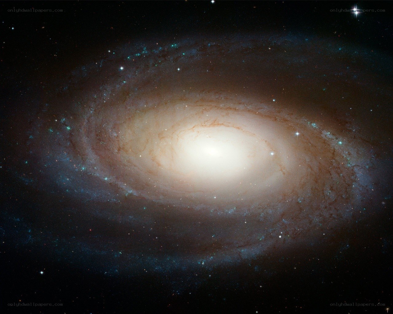 Spiral galaxy in deep space