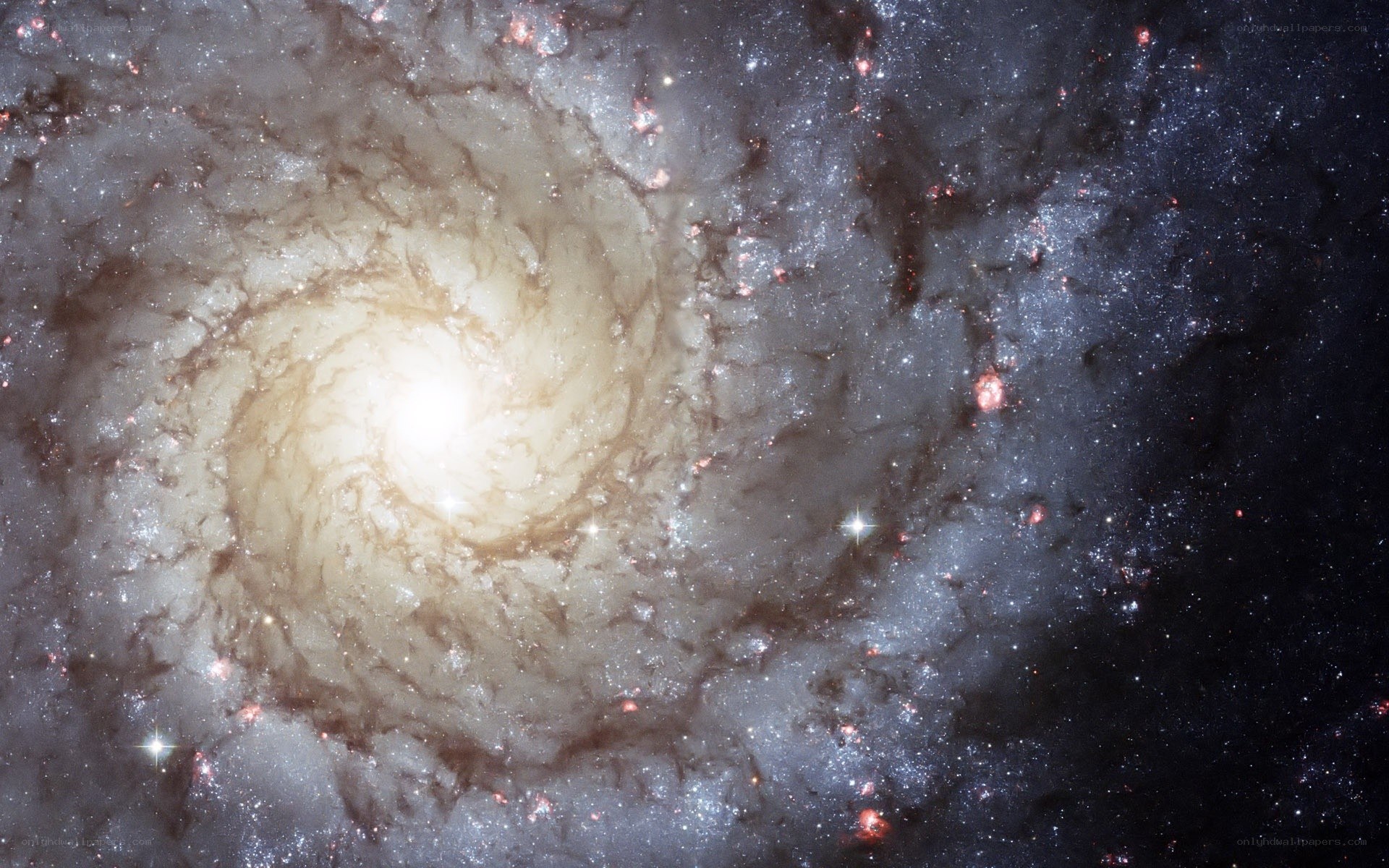 spiral galaxy in deep space